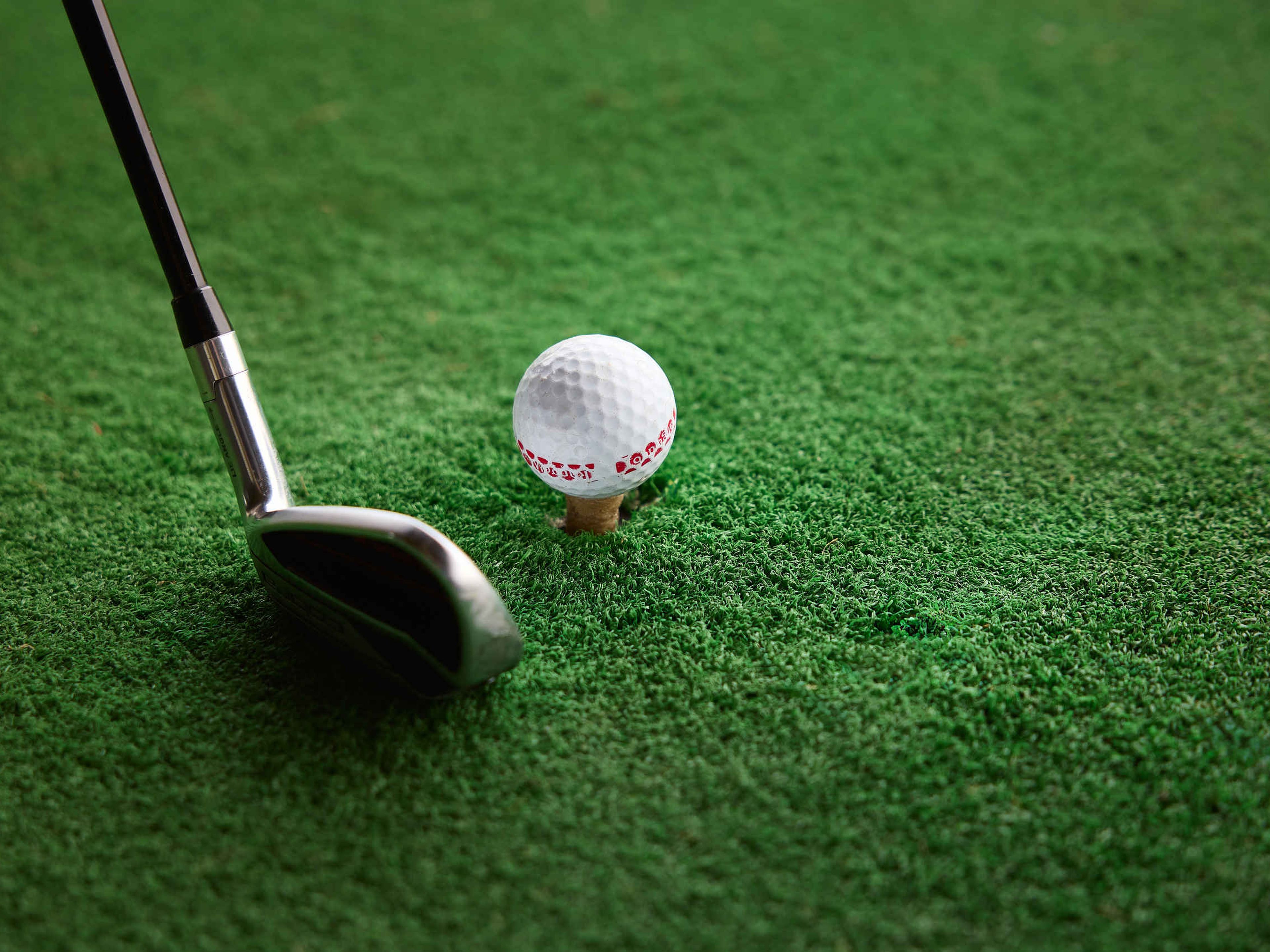 Golfclub en bal op de Driving Range van Golf de Gulbergen