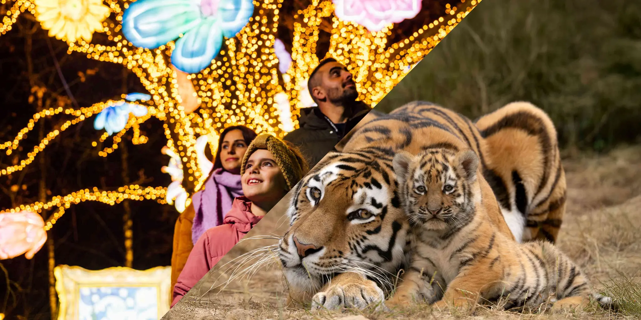 Afbeelding combinatie Light Safari & Safaripark