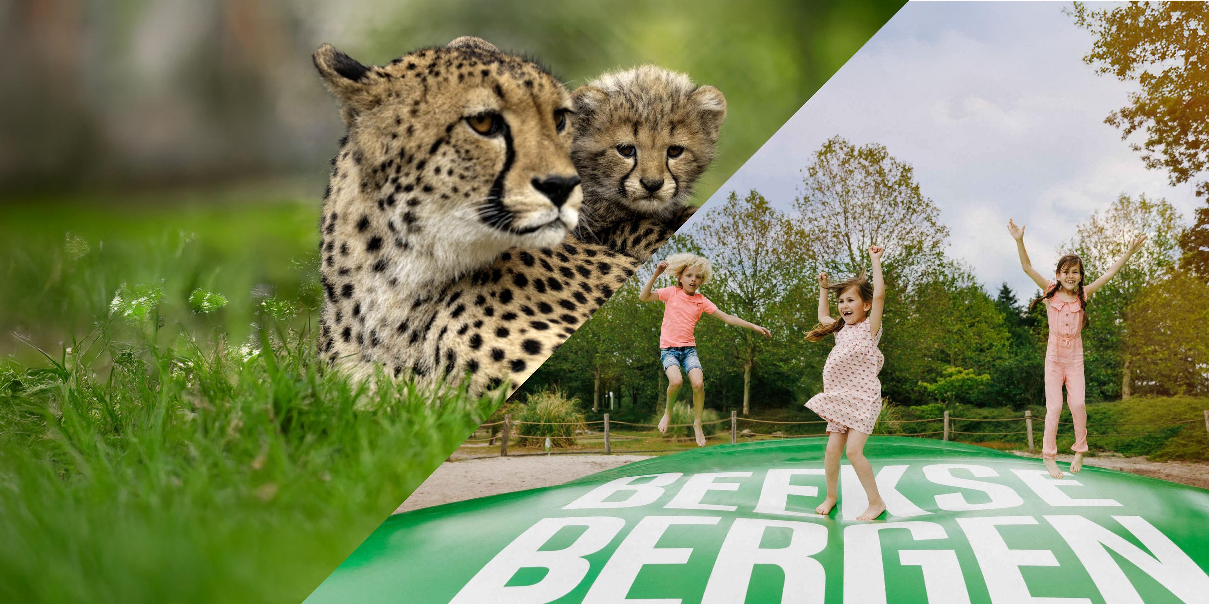 Combi Speelland en Safaripark Beekse Bergen