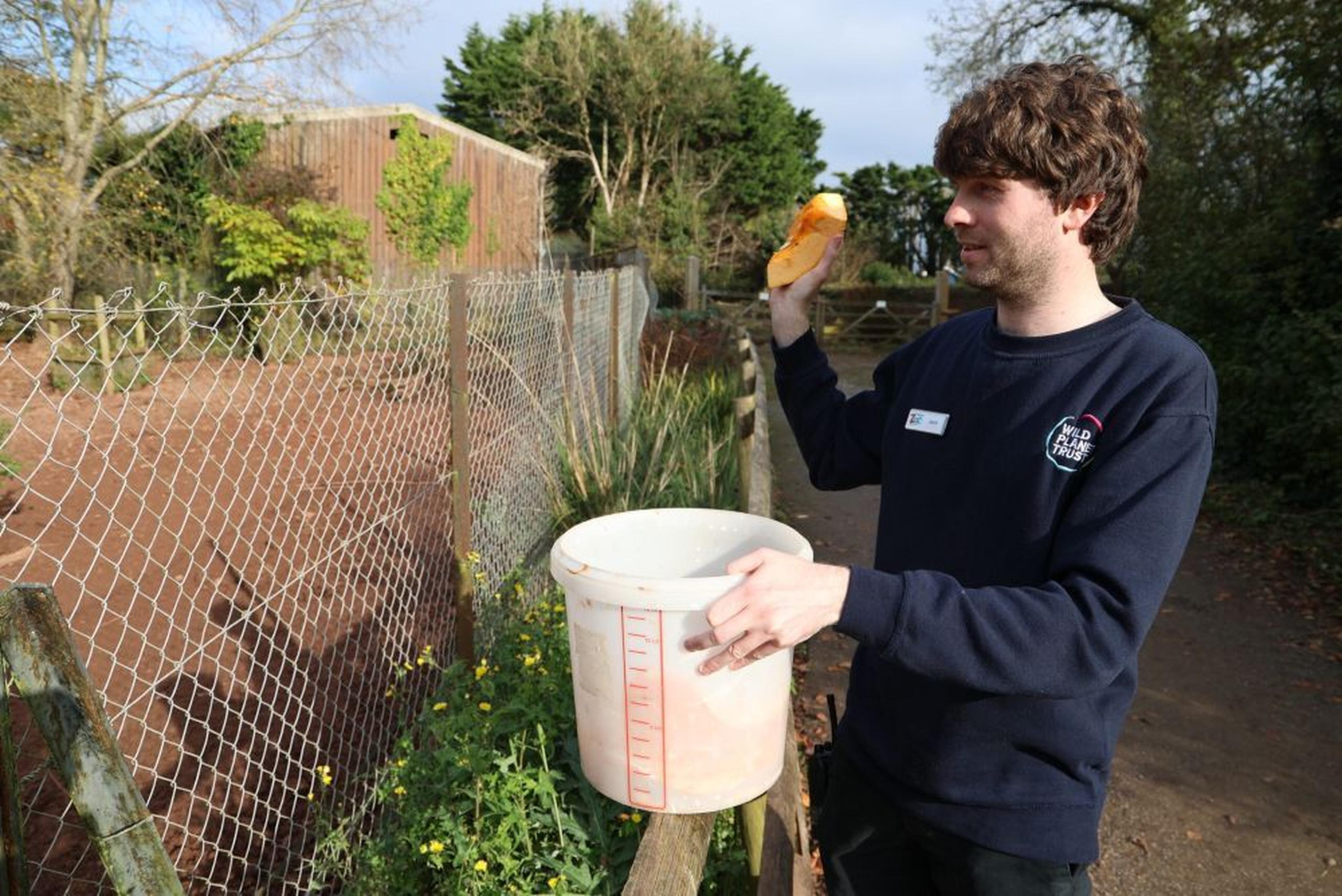 A person in a dark sweatshirt holds a bucket and a yellow object near a chain-link fence on a sunny day.