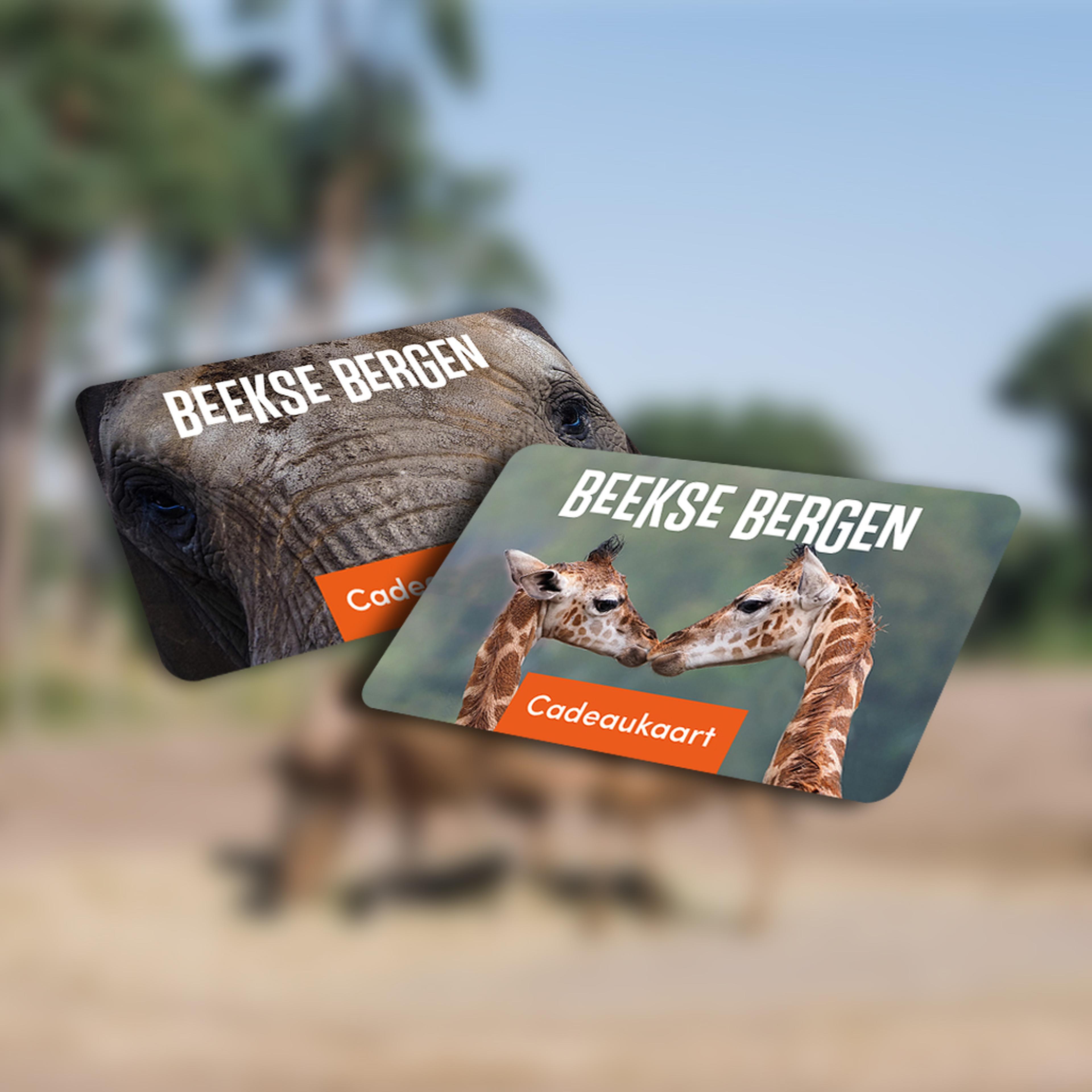 Cadeau kaarten met giraffen en olifant van Beekse Bergen