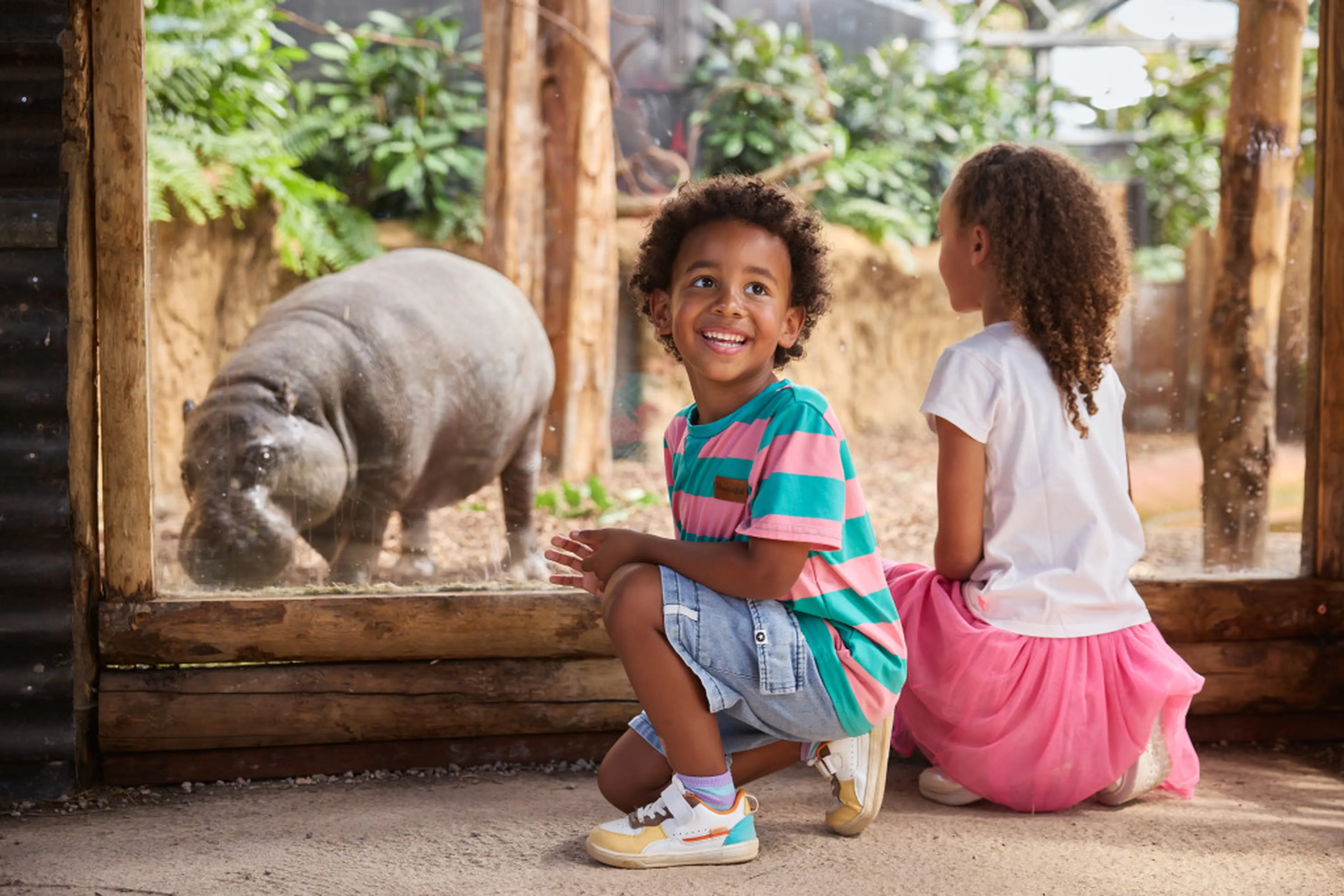 Een jongen en een meisje kijken naar een dwergnijlpaard bij ZooParc Overloon.