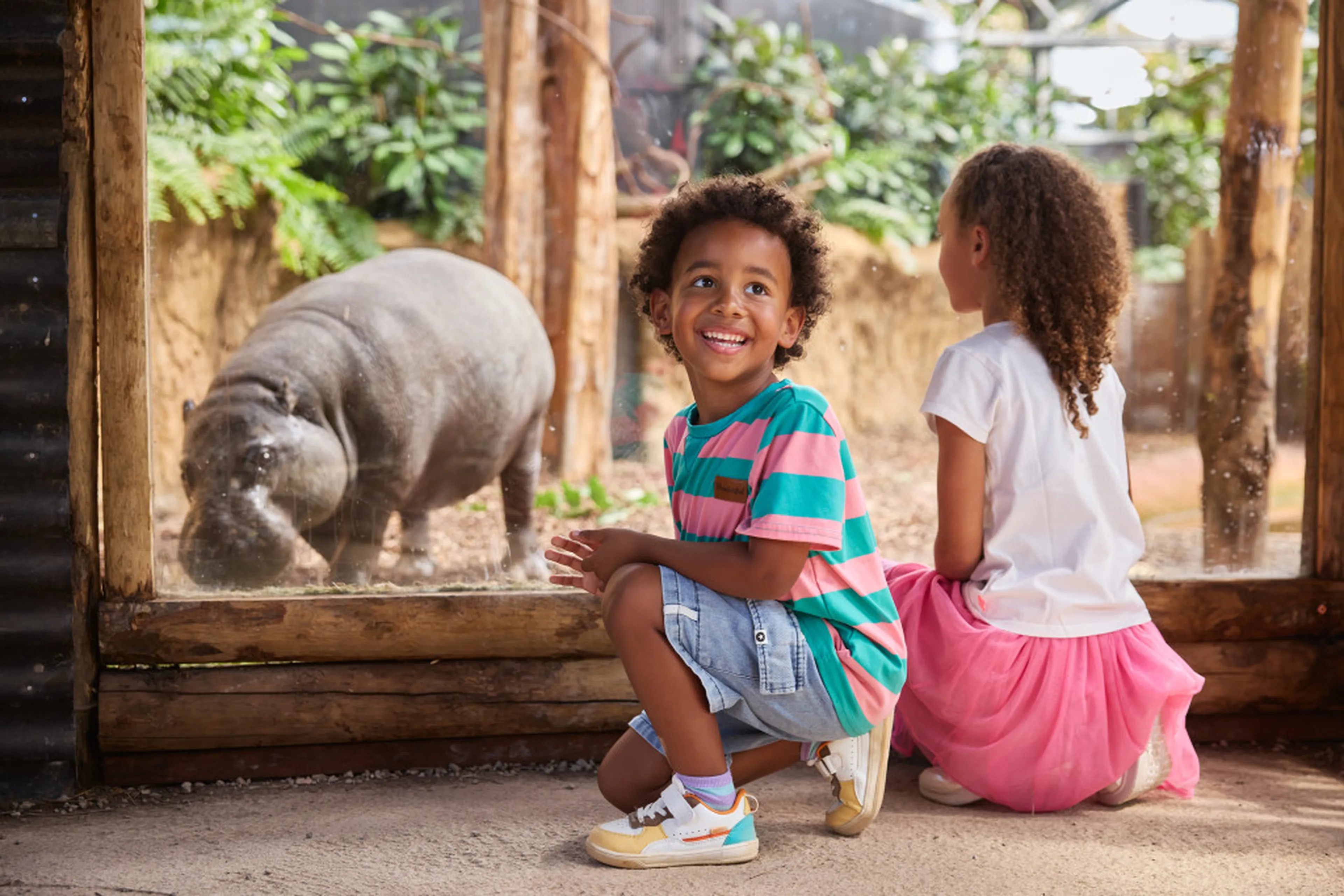 Een jongen en een meisje kijken naar een dwergnijlpaard bij ZooParc Overloon.