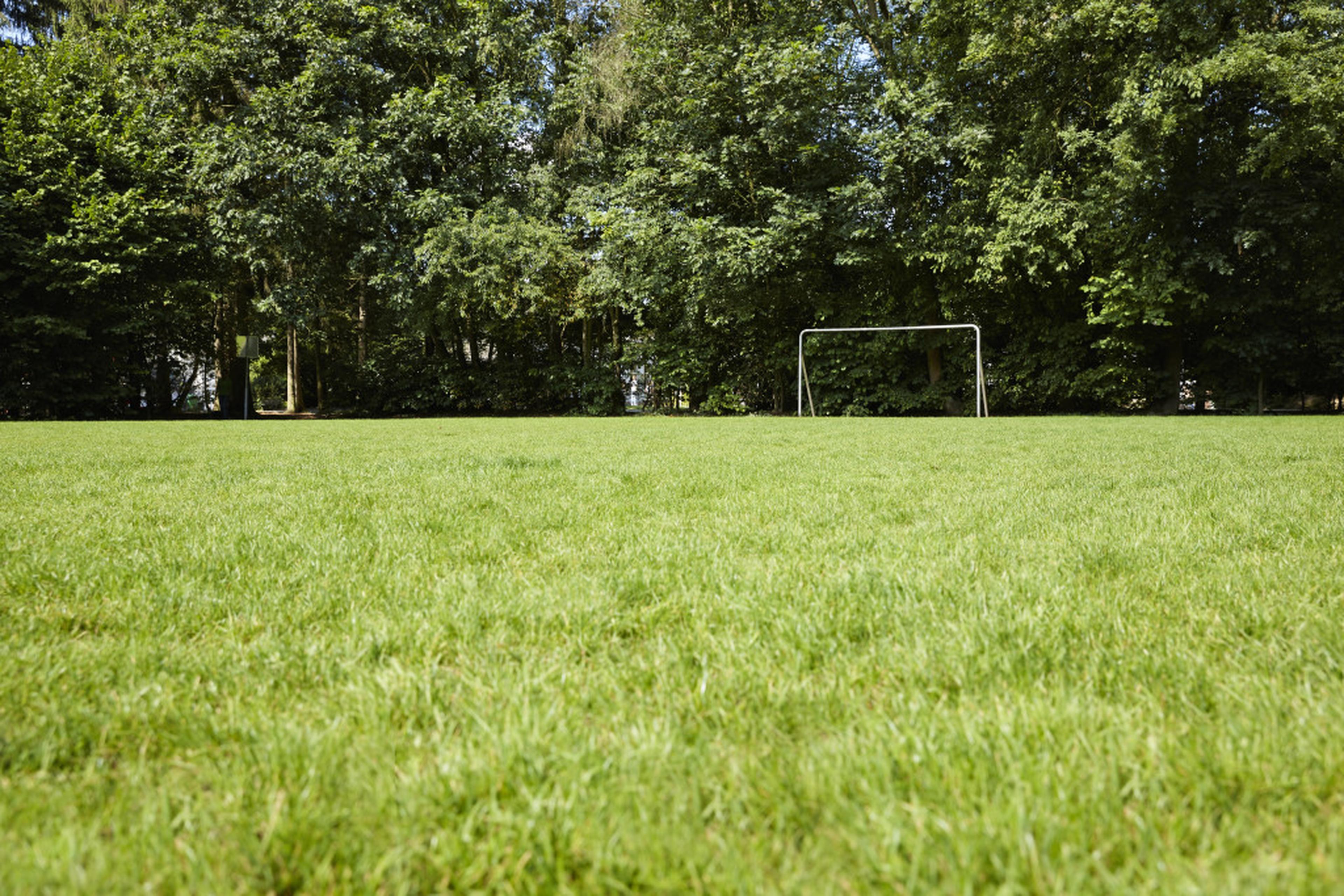 Sportveld bij Groepsaccommodatie De Buitenjan