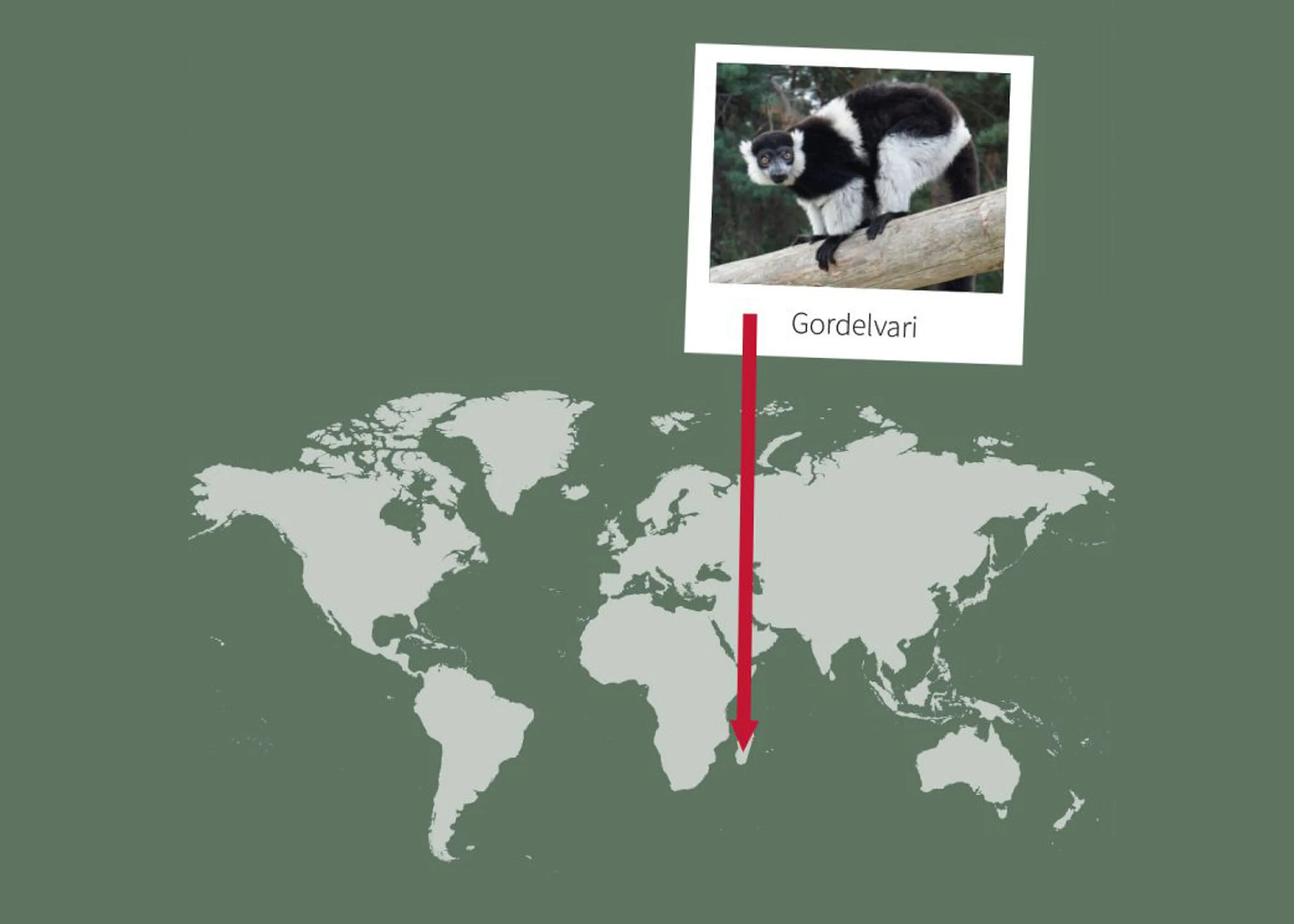 Opdracht 6 landkaart paspoort gordelvari AquaZoo Leeuwarden