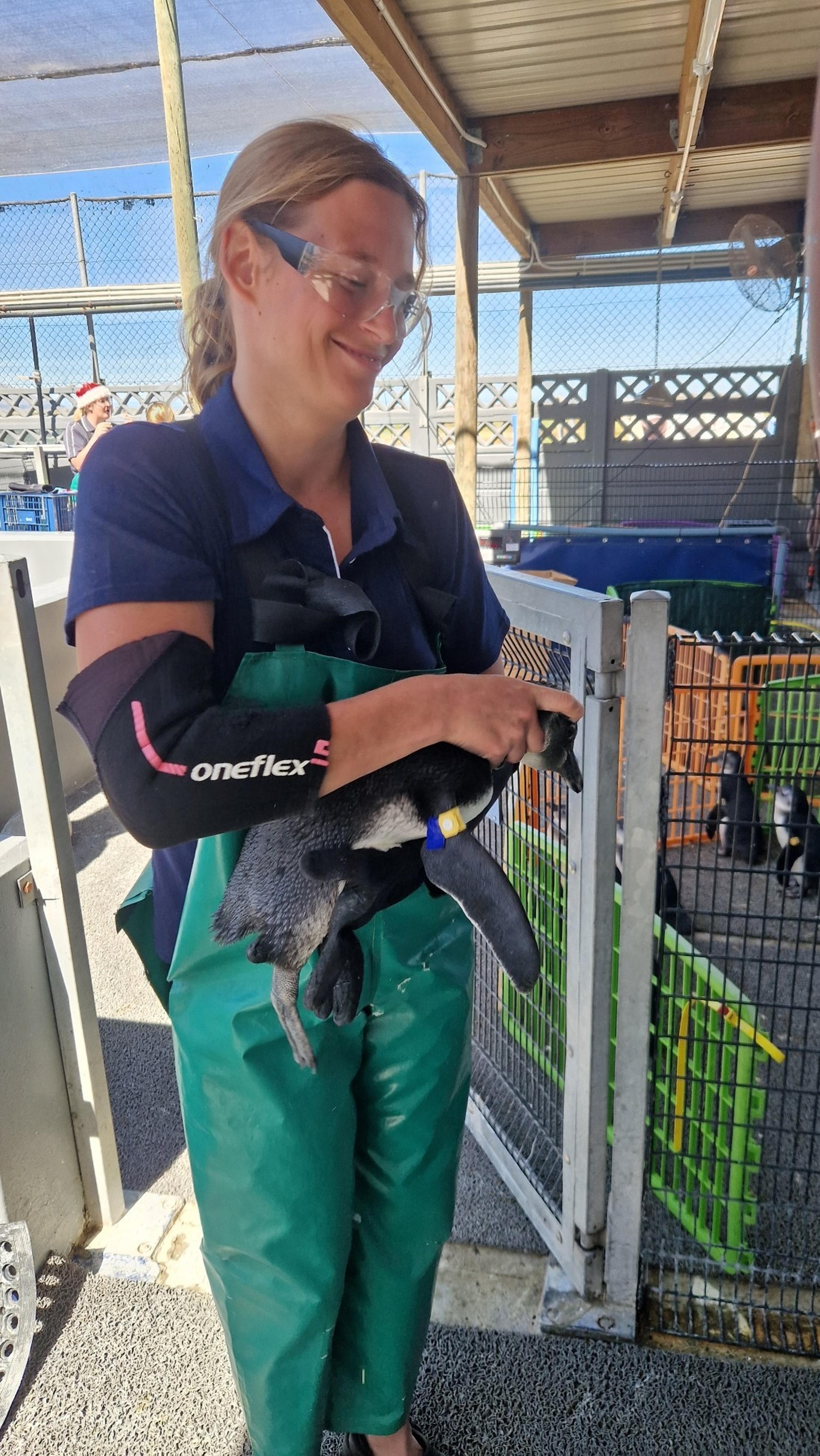 Dierenverzorger Kelly bezoekt Stichting SANCCOB in Zuid-Afrika via Beekse Bergen.