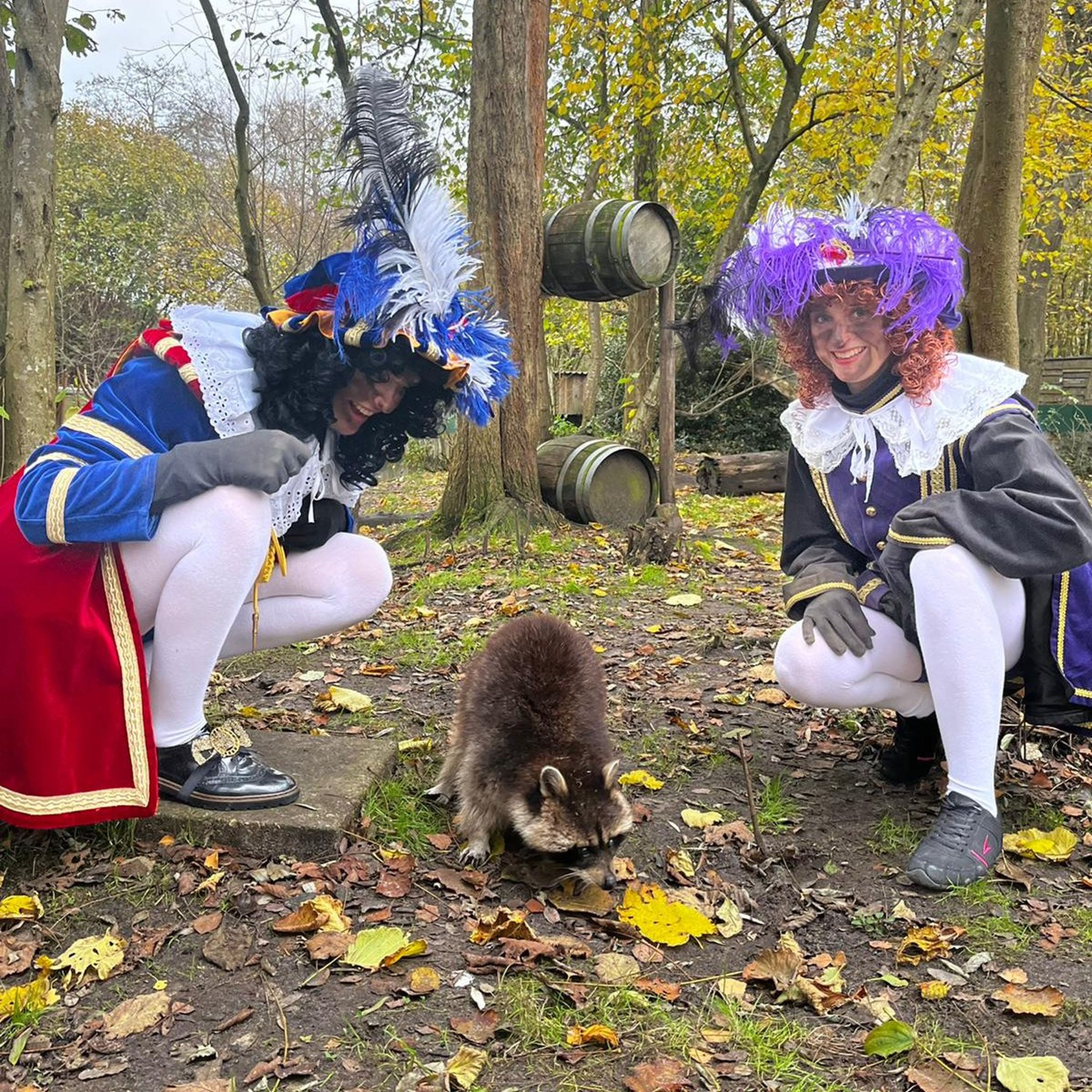 Pieten bij wasberen AquaZoo Leeuwarden