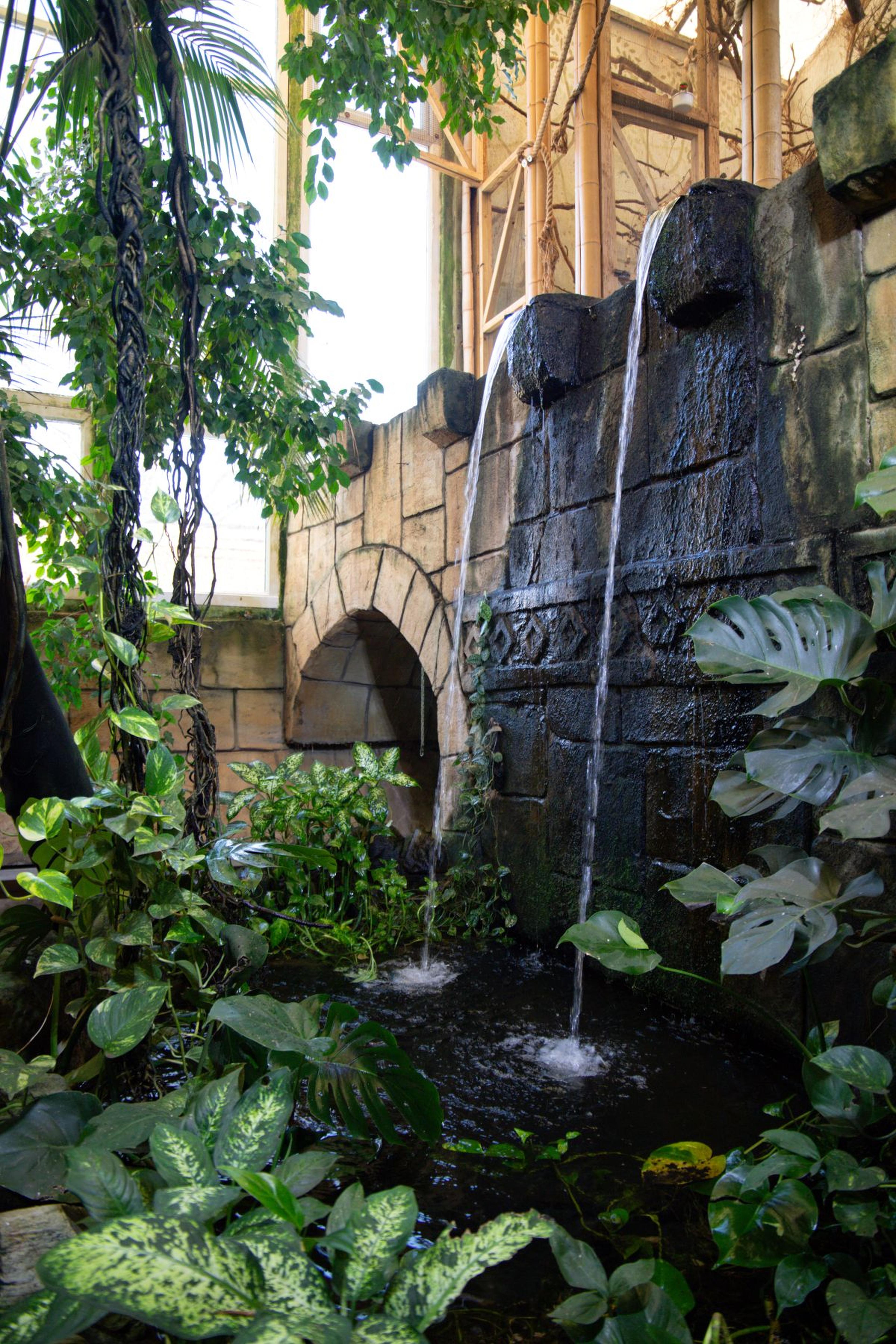 Indoor waterfall with two streams flowing from a stone structure, surrounded by lush green plants and a stone archway.