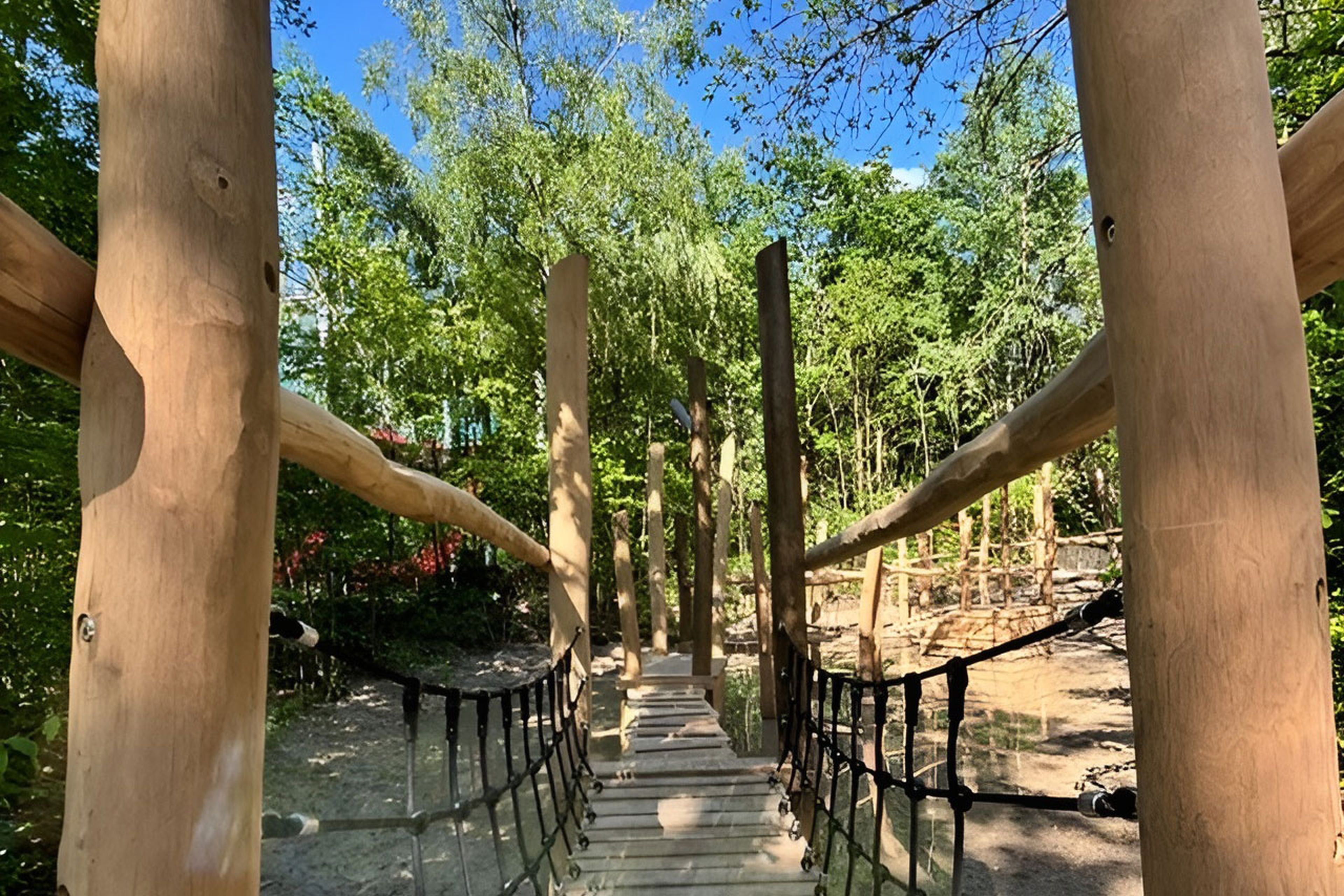 Een kijkje over de waterspeelbrug in het speelbos van Klimrijk Brabant