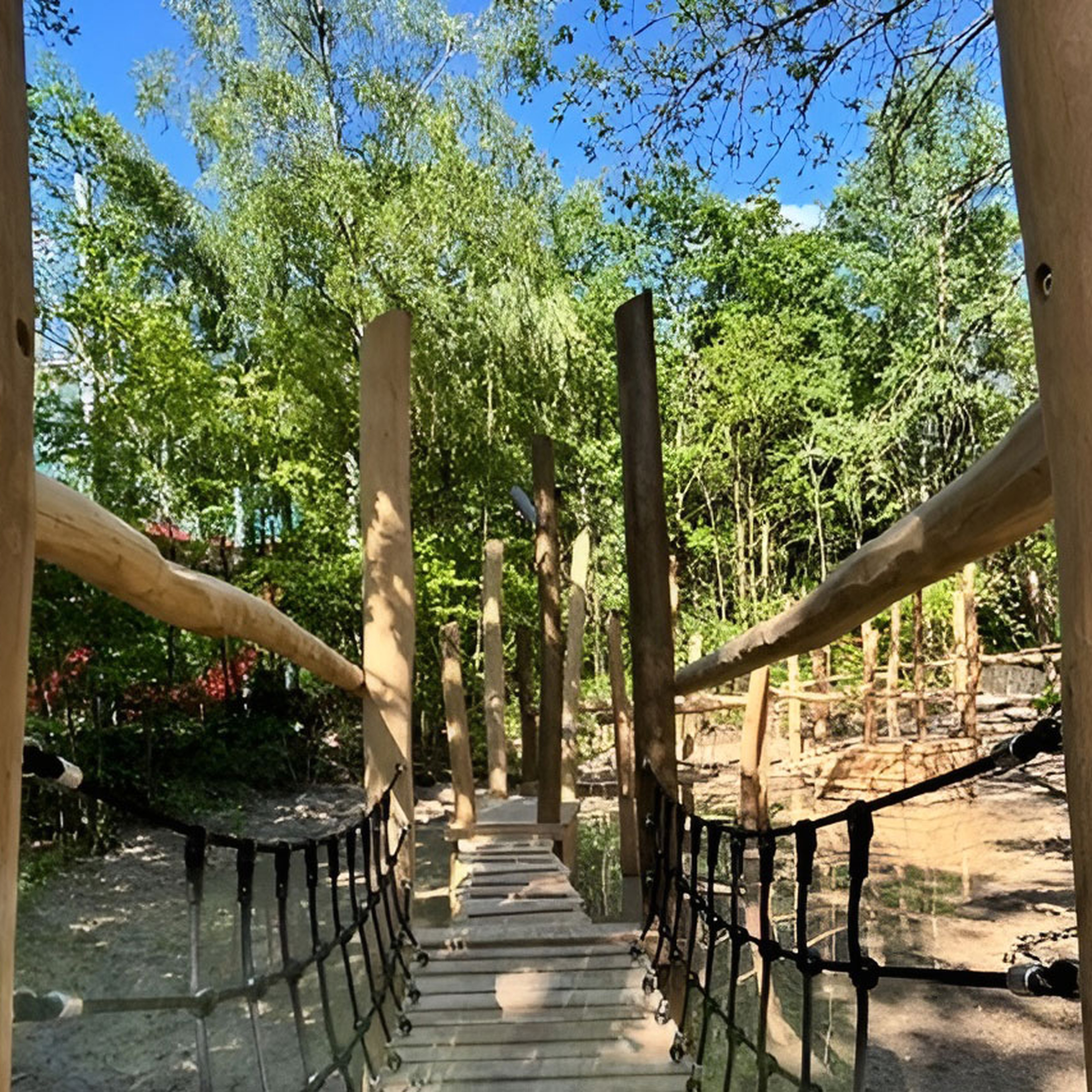 Een kijkje over de waterspeelbrug in het speelbos van Klimrijk Brabant