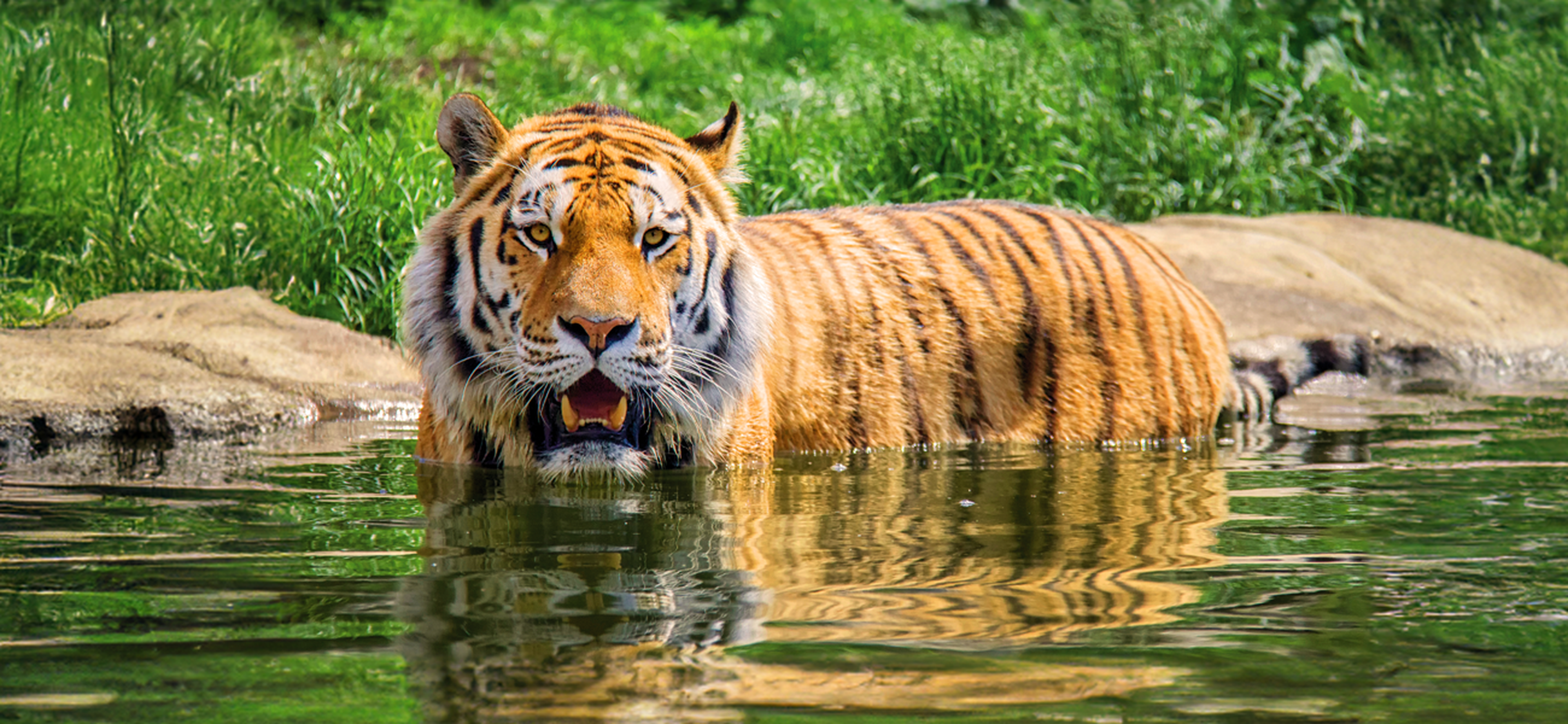 Eindhoven Zoo abonnement
