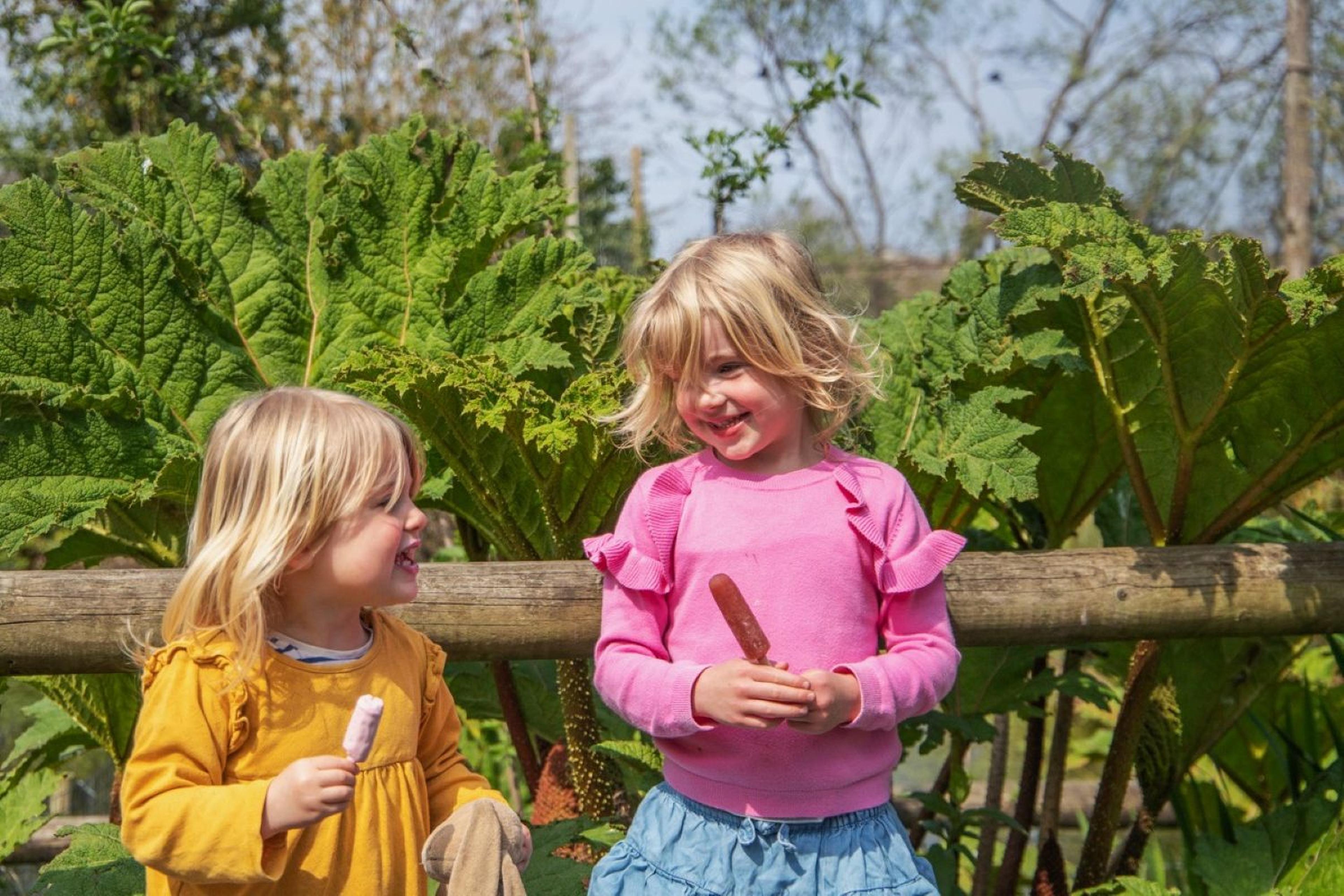 Two young children enjoy ice lollies on a summers day, standing in front of large green leaves, wearing bright yellow and pink dresses, smiling.