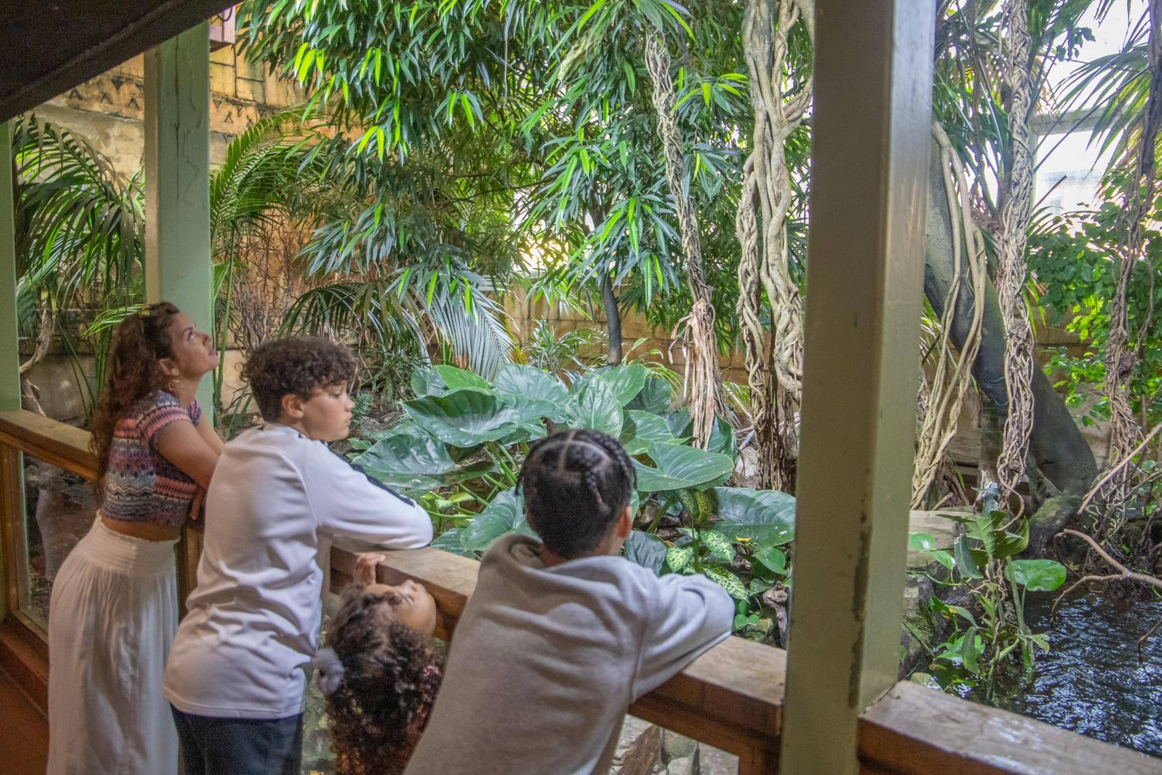 A group of people stands by a railing, observing lush green tropical plants behind a glass enclosure.