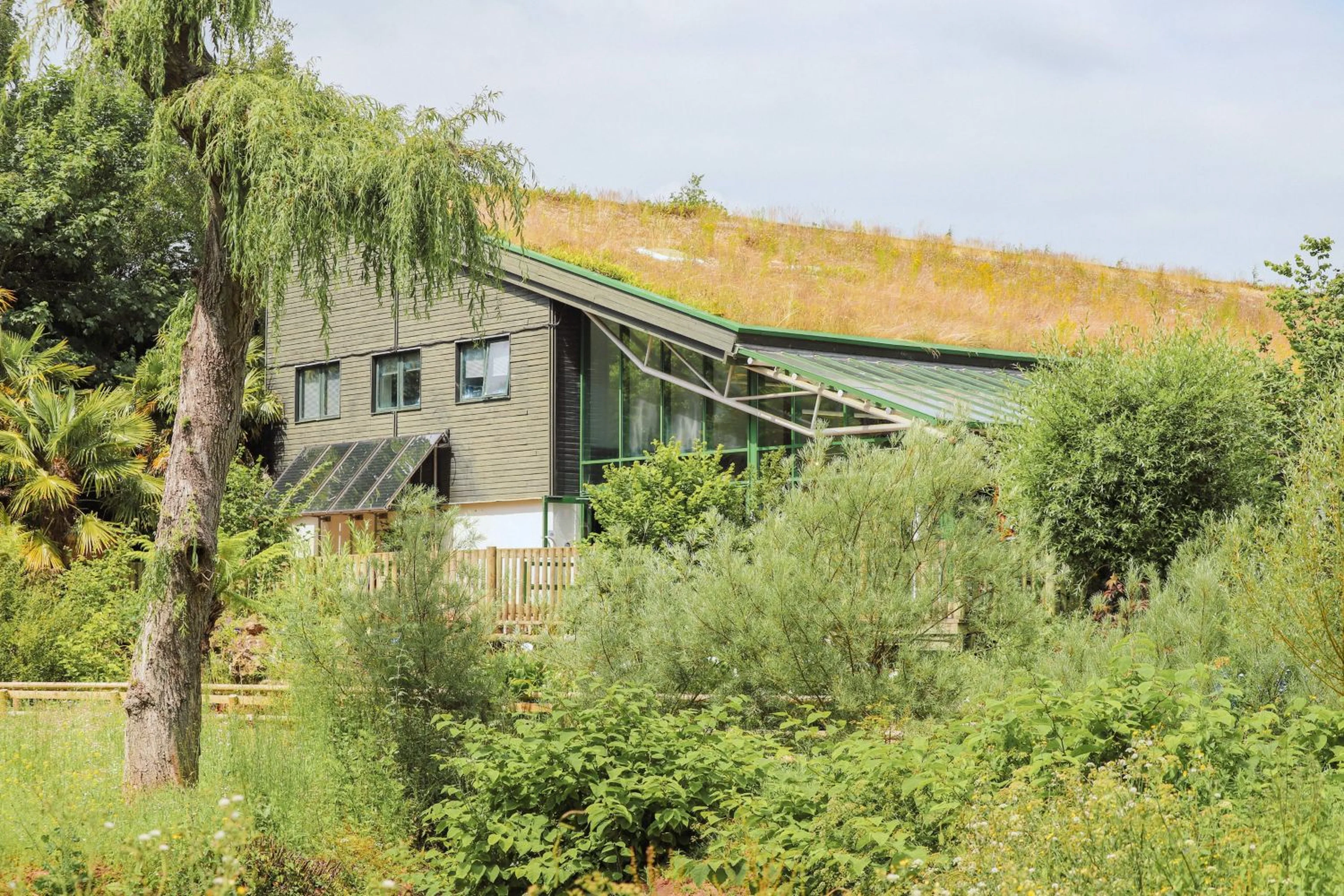 Eco-friendly house with green roof, large windows, surrounded by lush greenery, trees, and shrubs under a cloudy sky.