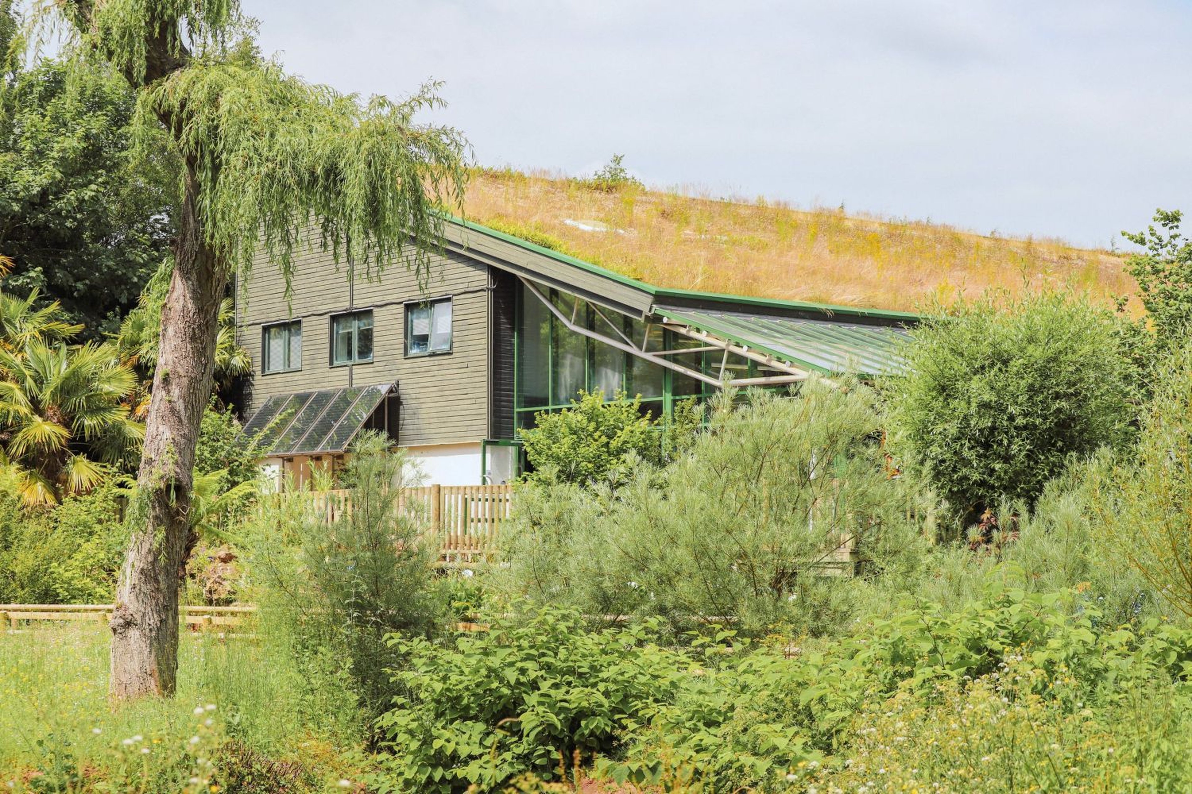 Eco-friendly house with green roof, large windows, surrounded by lush greenery, trees, and shrubs under a cloudy sky.