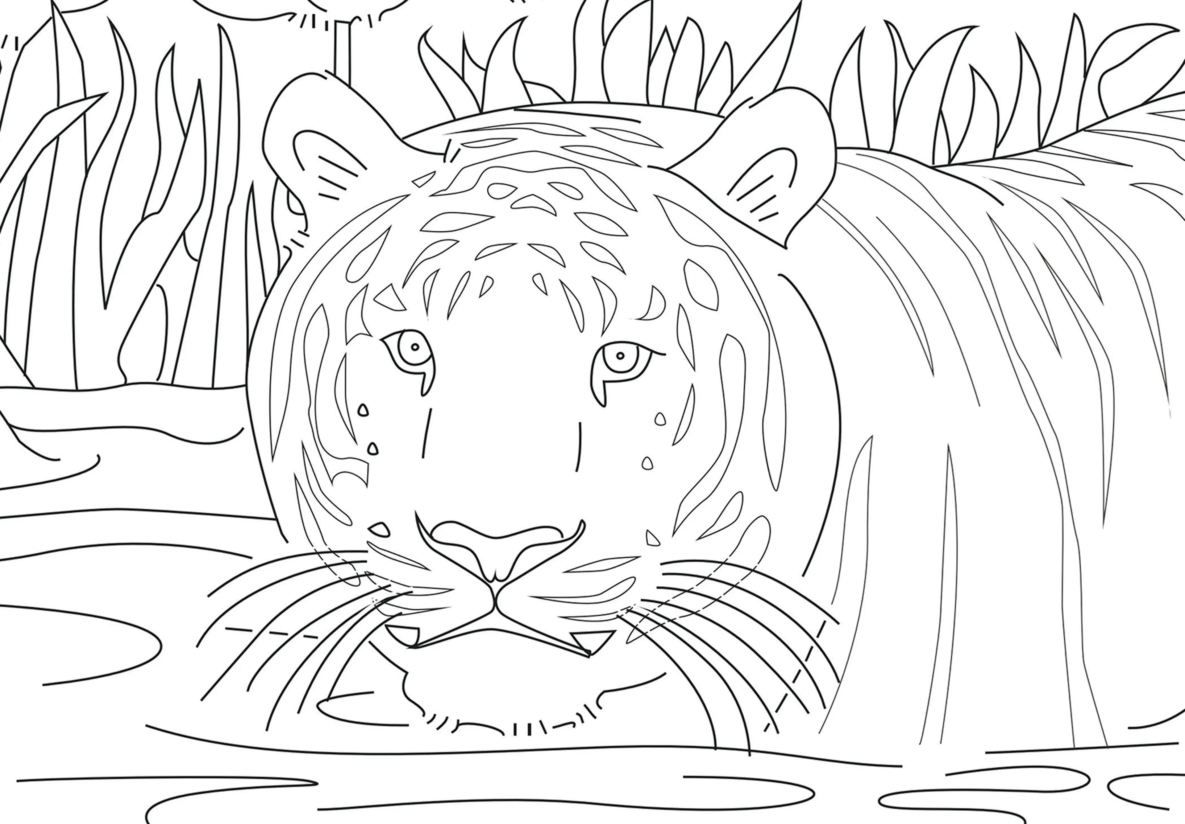 Kids kleurplaat Safaripark dieren Safaripark Beekse Bergen