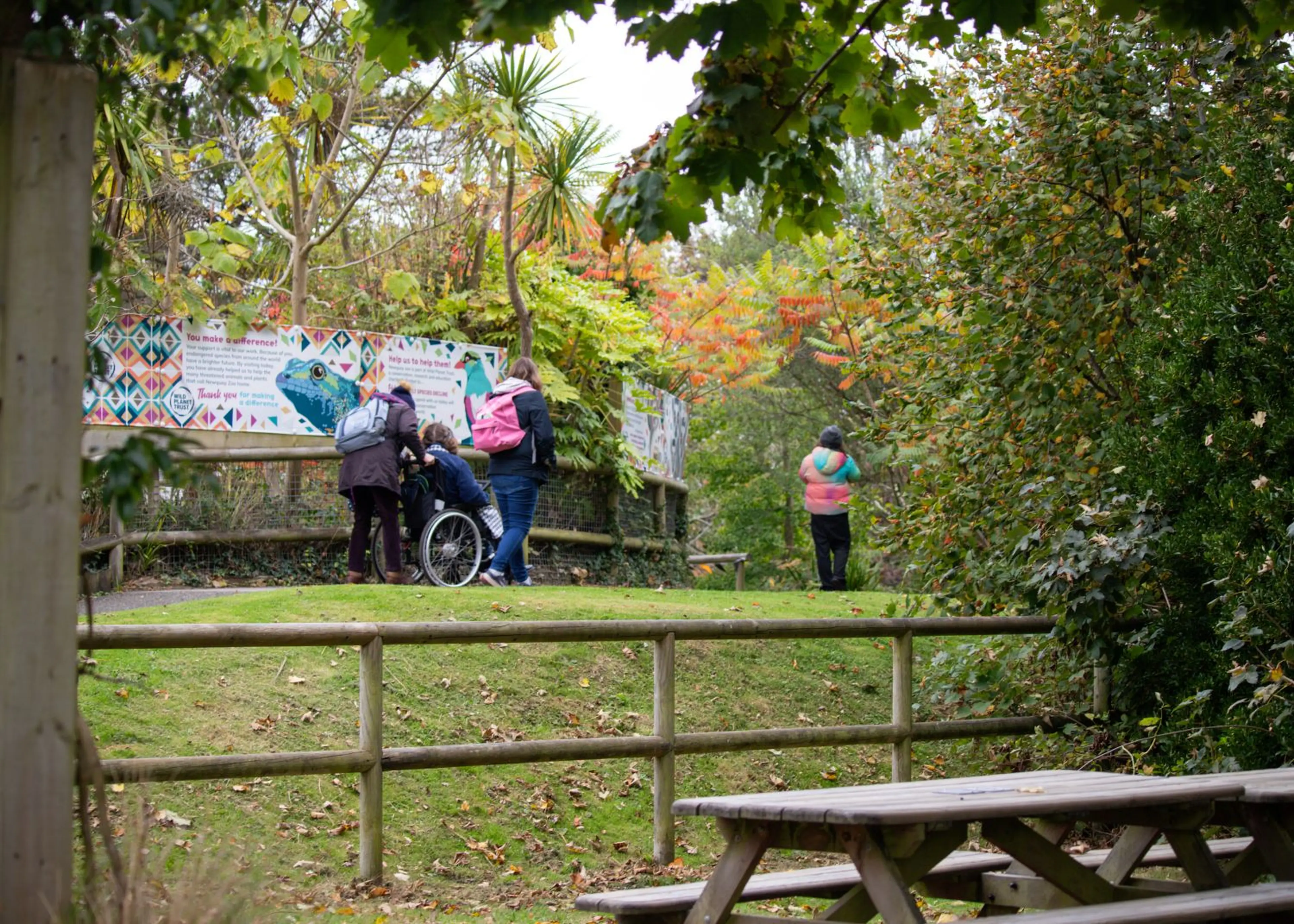 People outdoors in a park setting, helping someone in a wheelchair, surrounded by colorful autumn trees and signs on a fence.