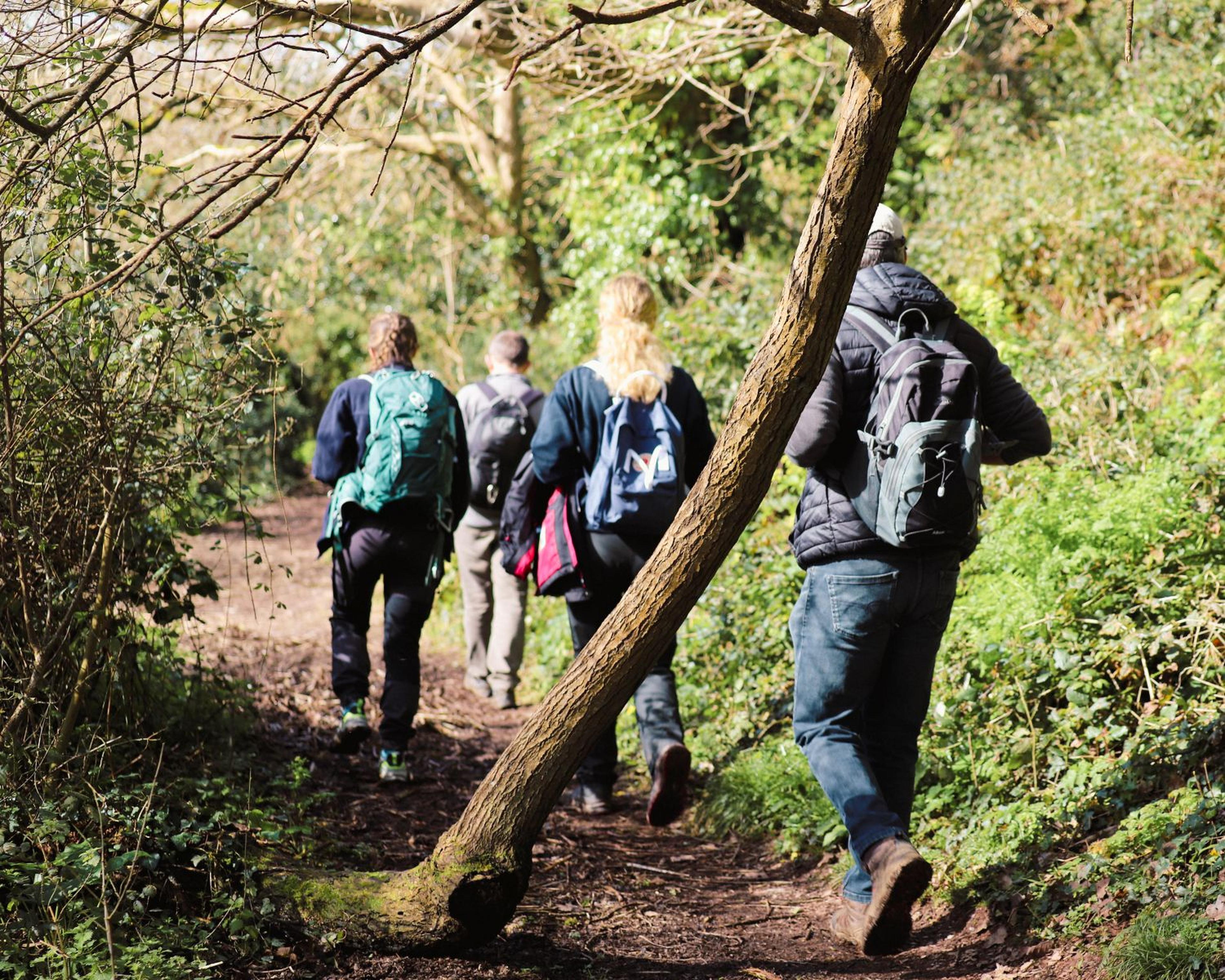 Group of hikers walking through Paignton Zoo's Primley nature reserve in the sunshine