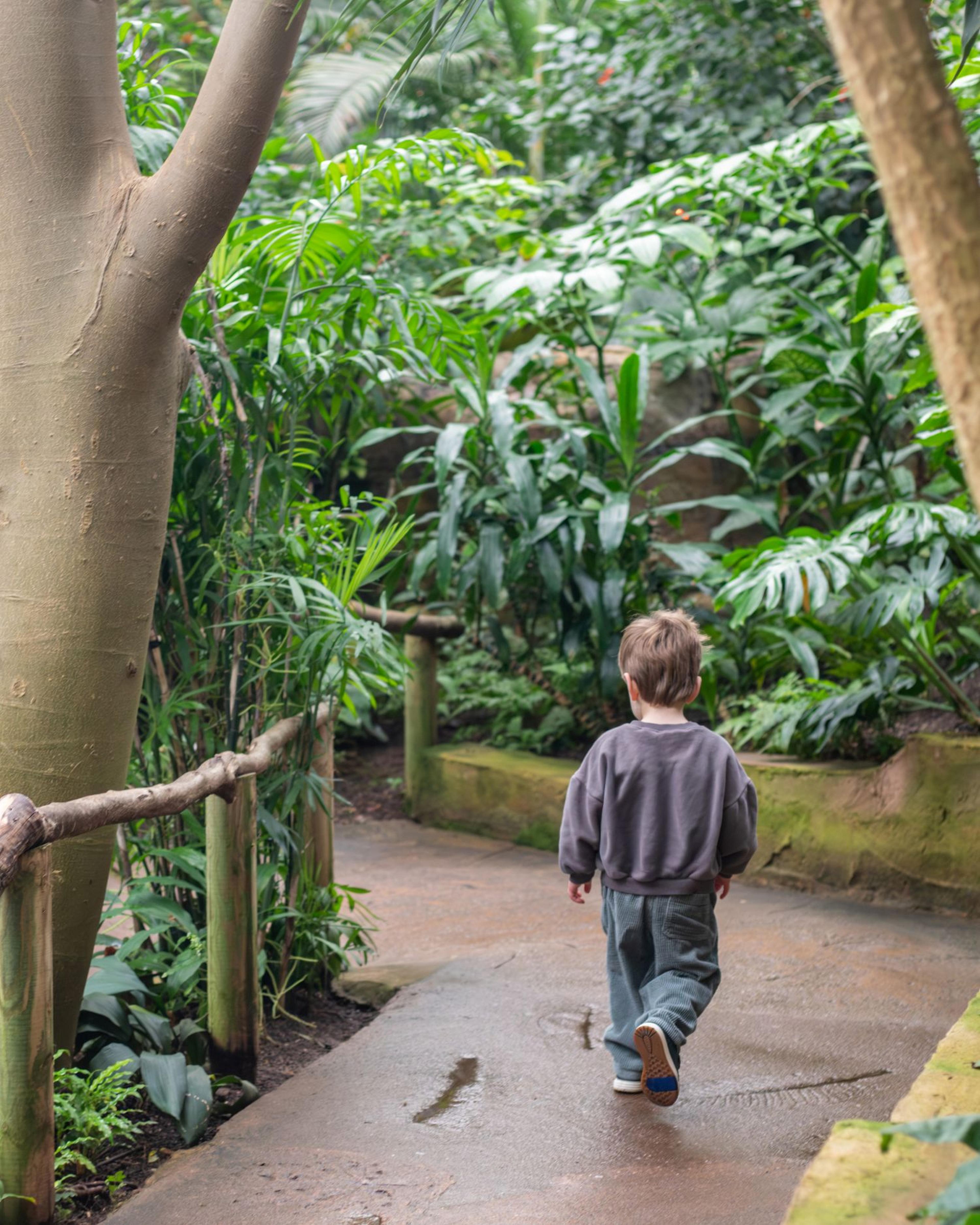 Young child walking on a path through a lush, green botanical garden, surrounded by various plants and trees.