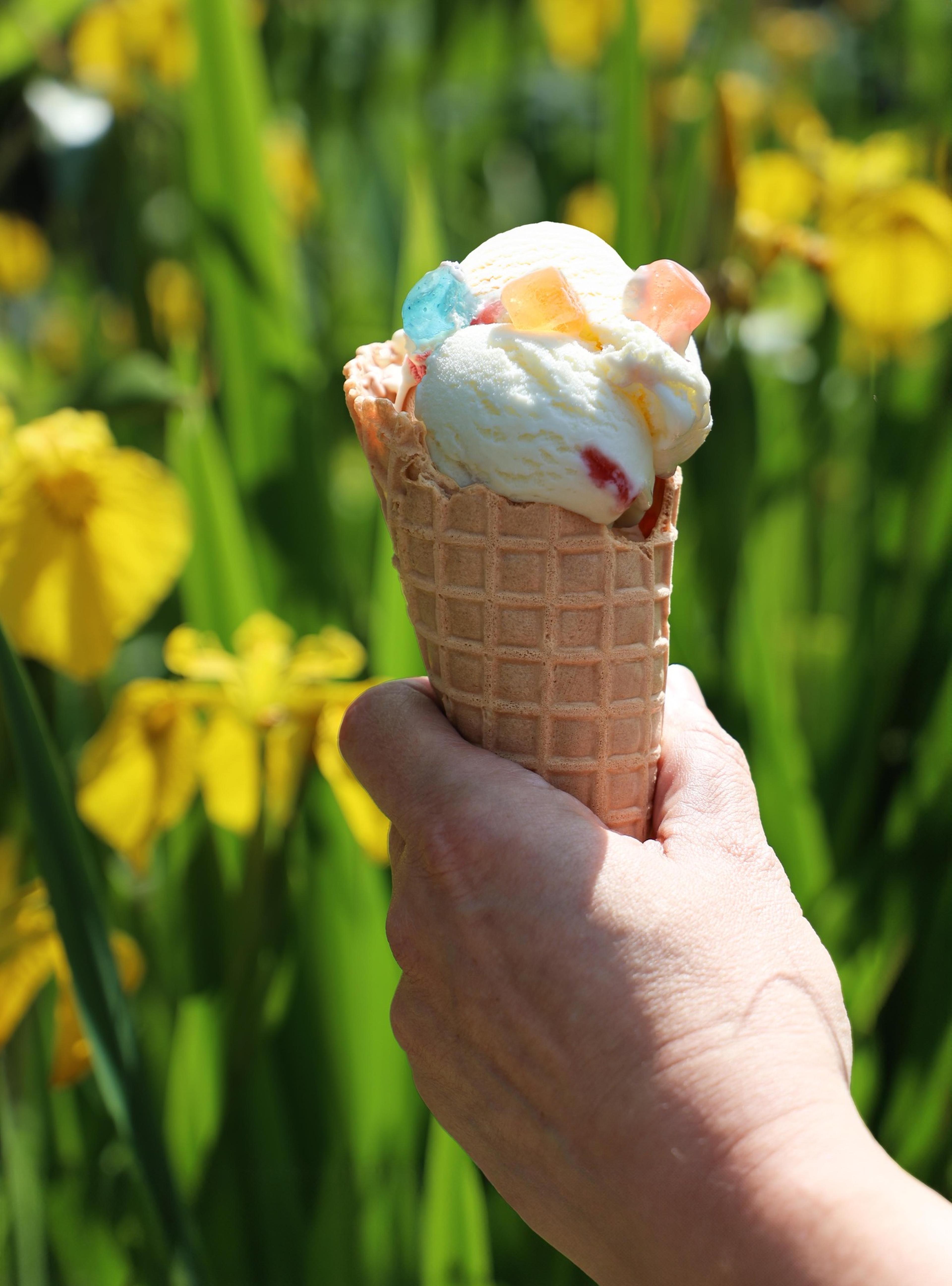 A hand holding an ice cream cone with gummy bears, against a backdrop of vibrant green leaves and yellow flowers.