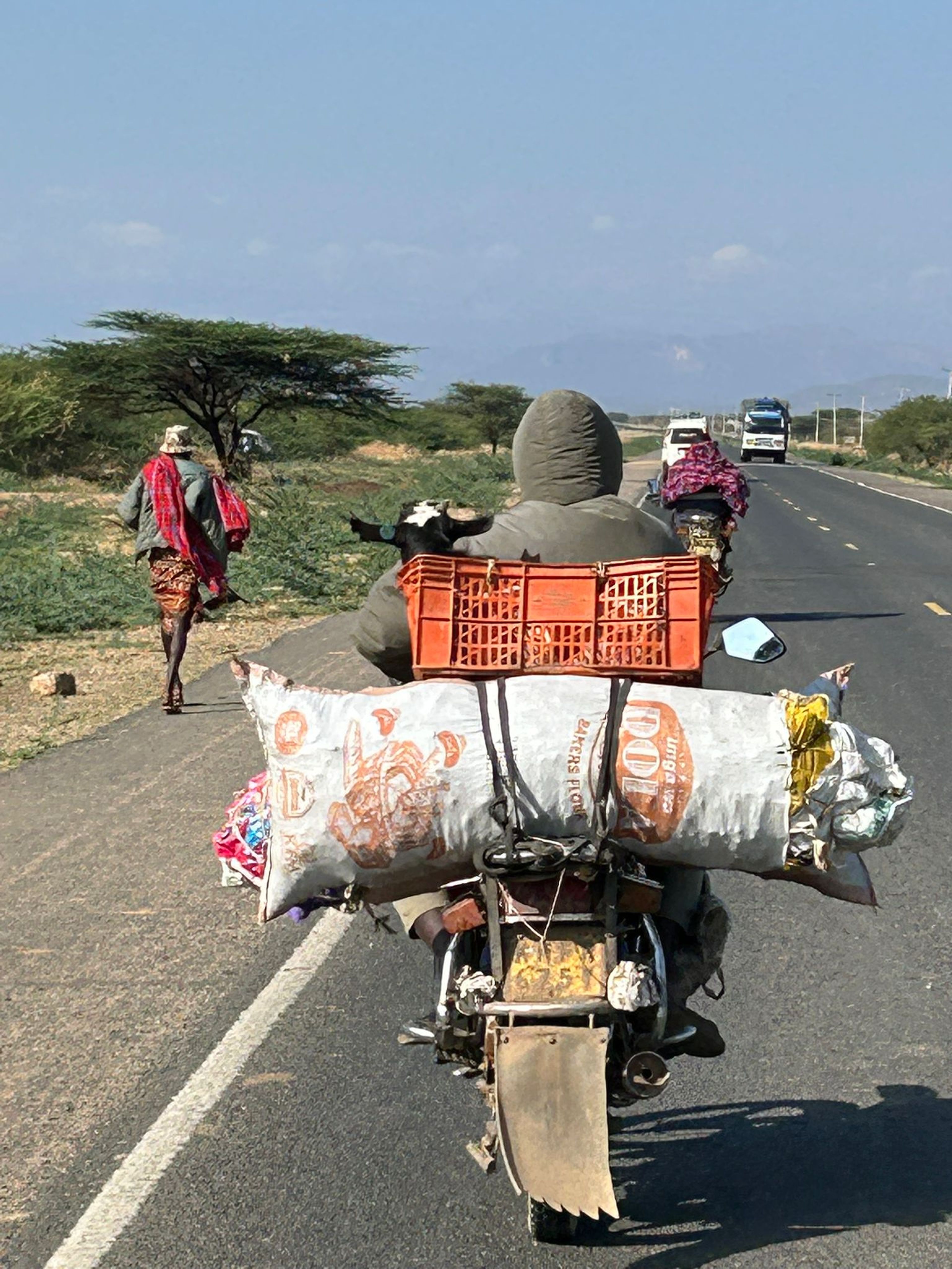 Een geit zit in een mand achterop de brommer in Kenia.