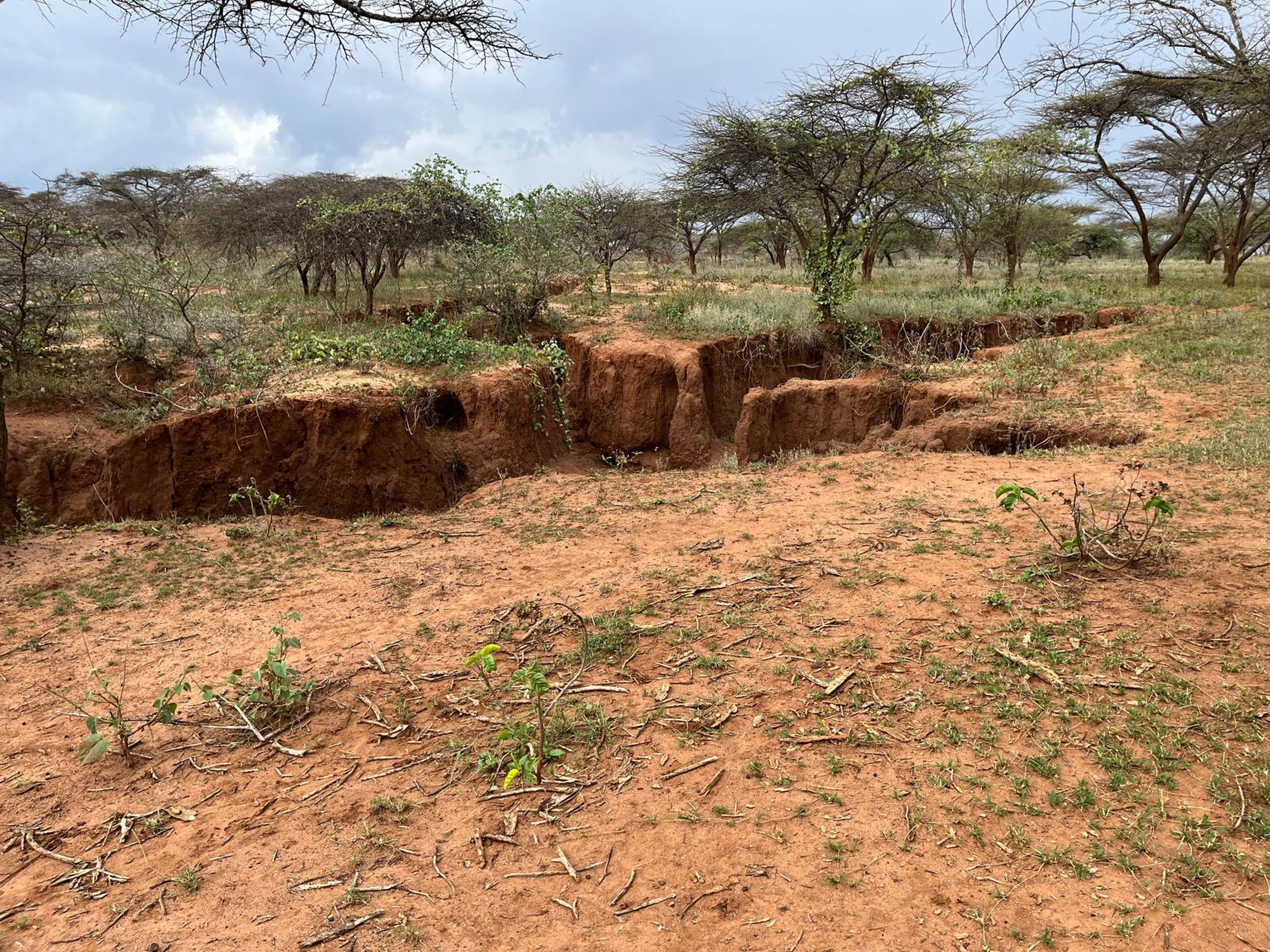 Een erosion gully in Kenia.