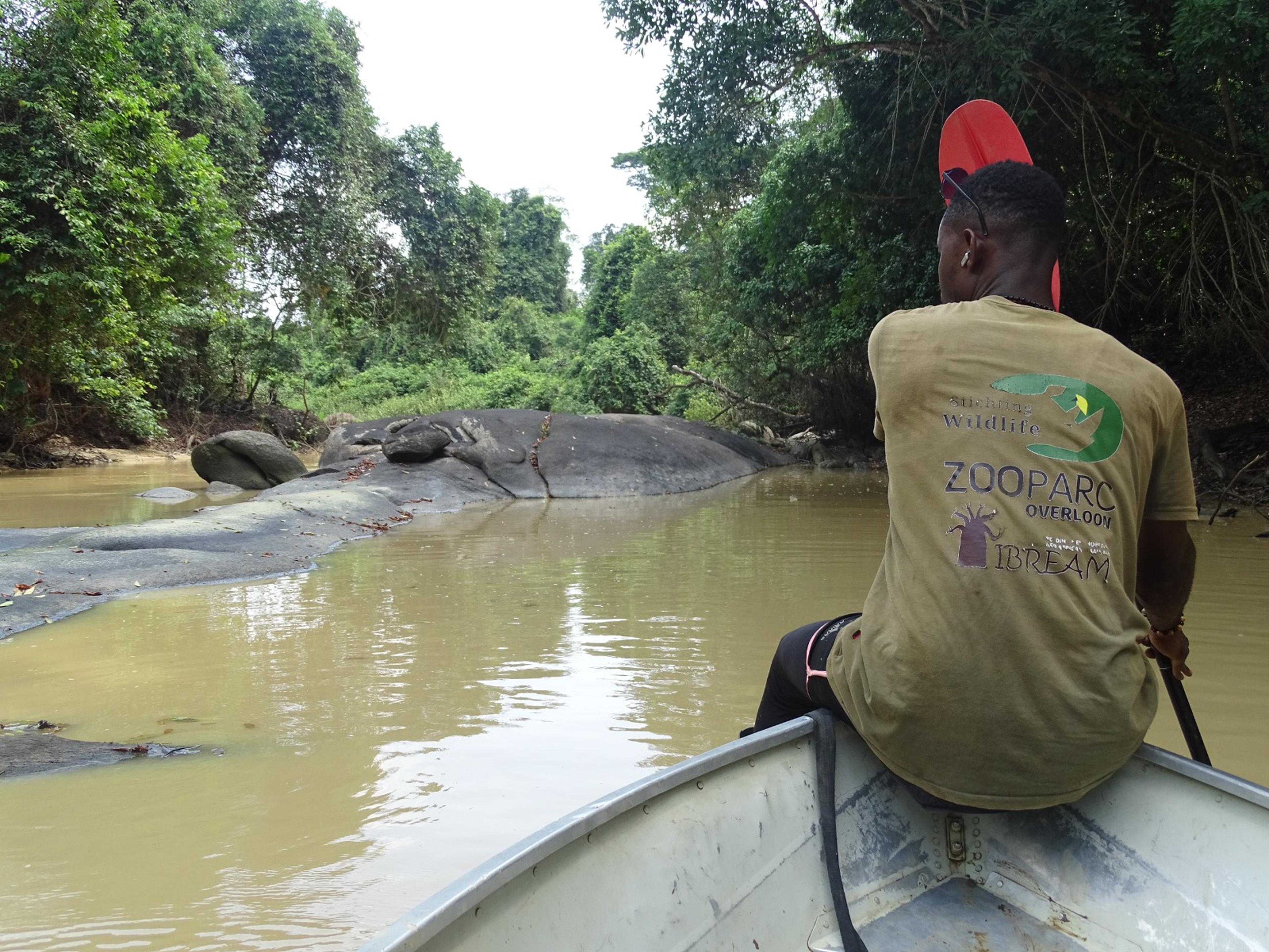Een vrijwilliger van het IBREAM project in een boot in het Taï National Park in Ivoorkust