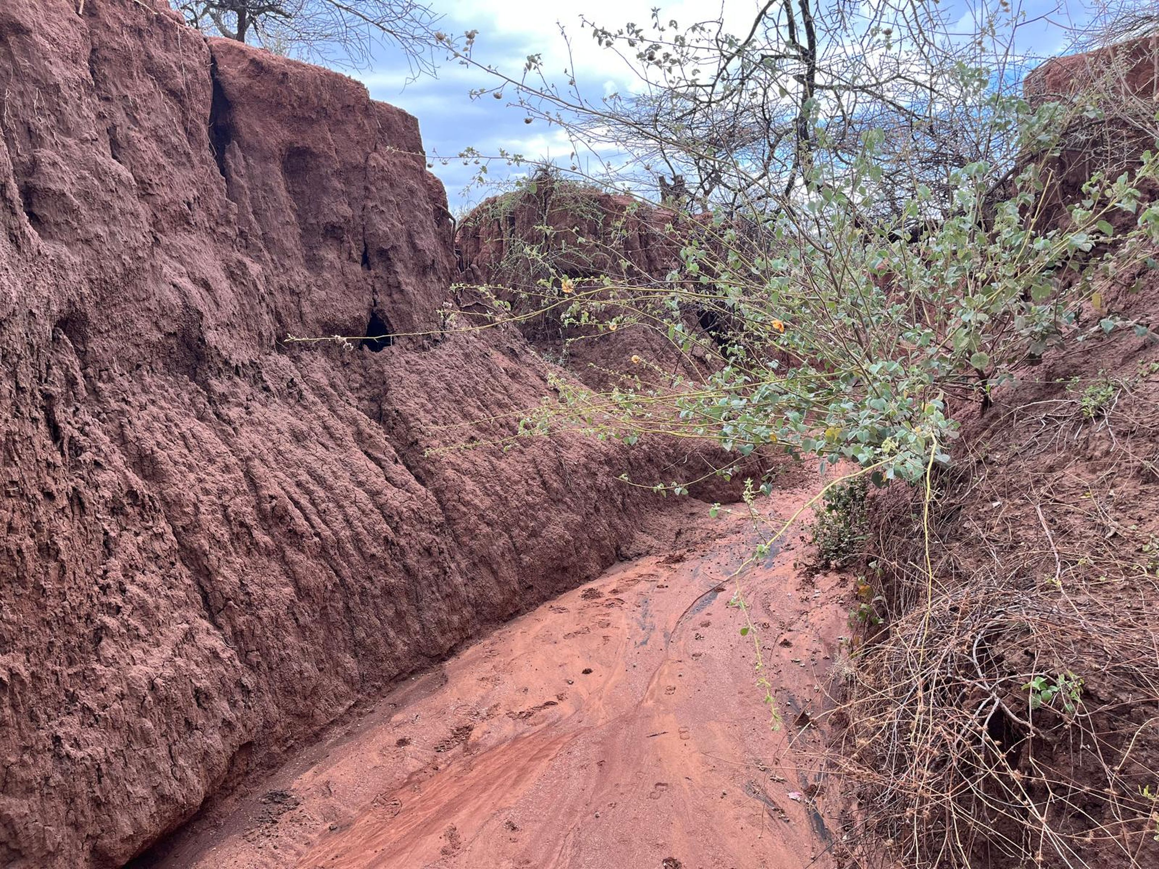 Een erosion gully in Kenia.