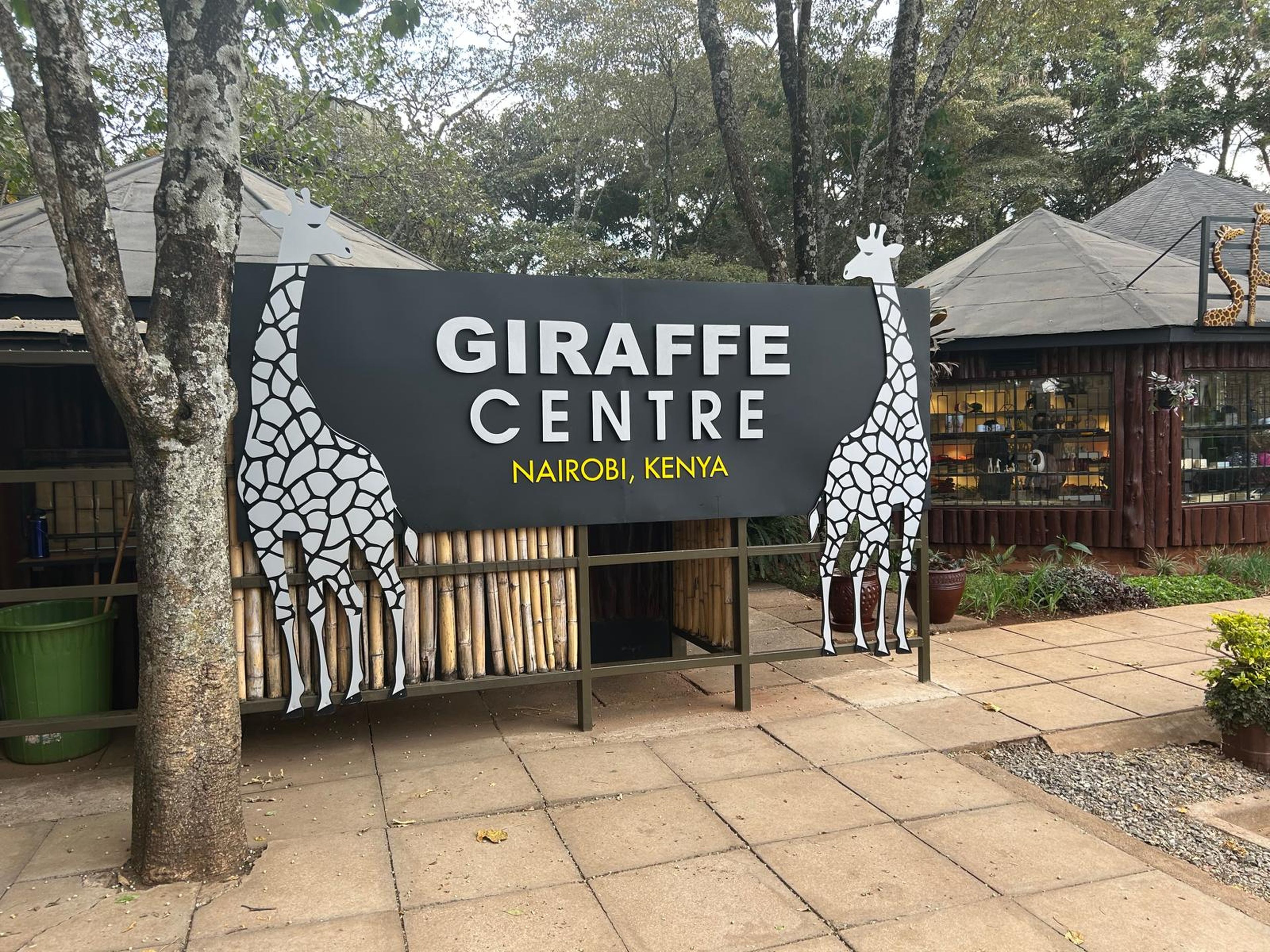 Giraffe centre bij Nairobi, Kenia.