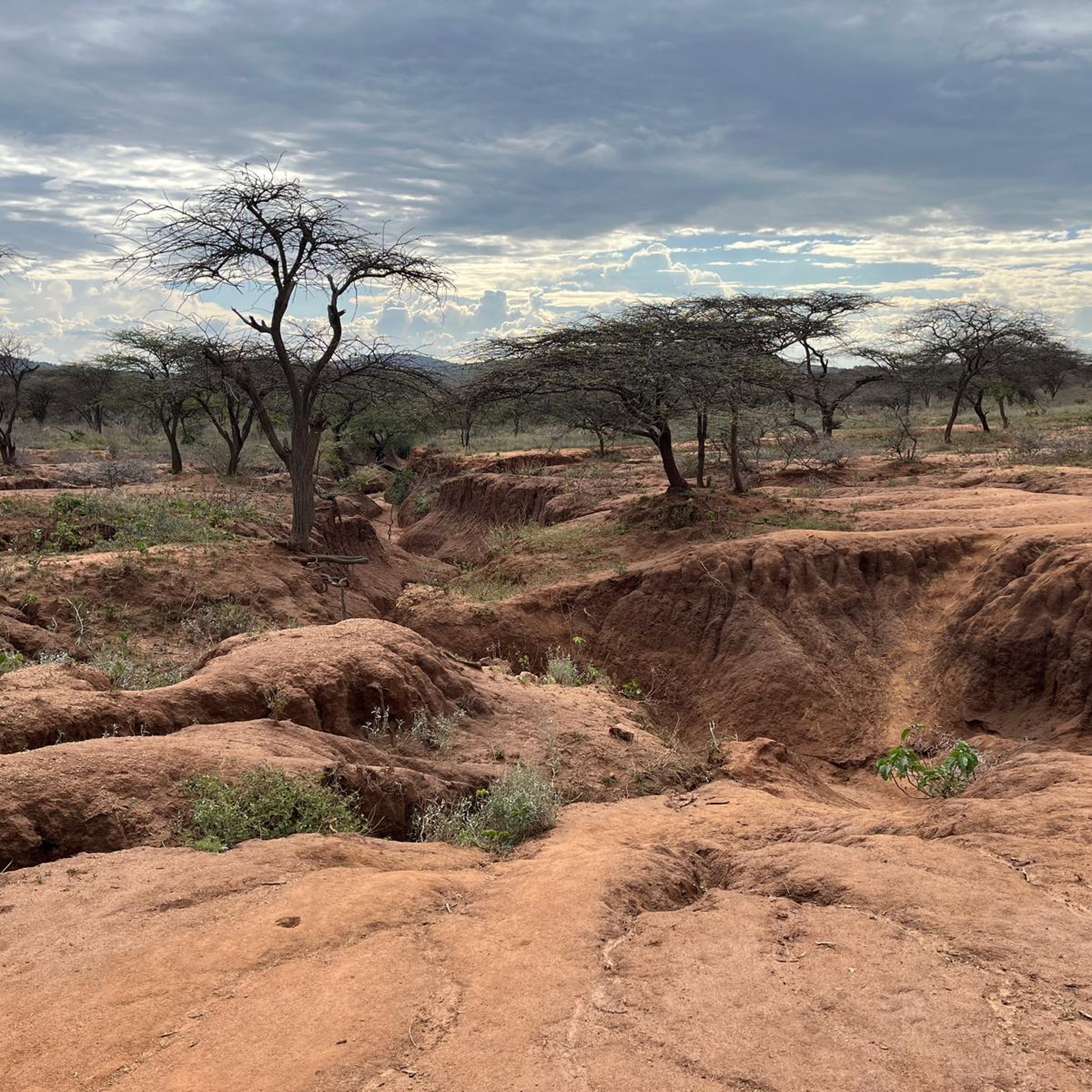 Een erosion gully in Kenia.