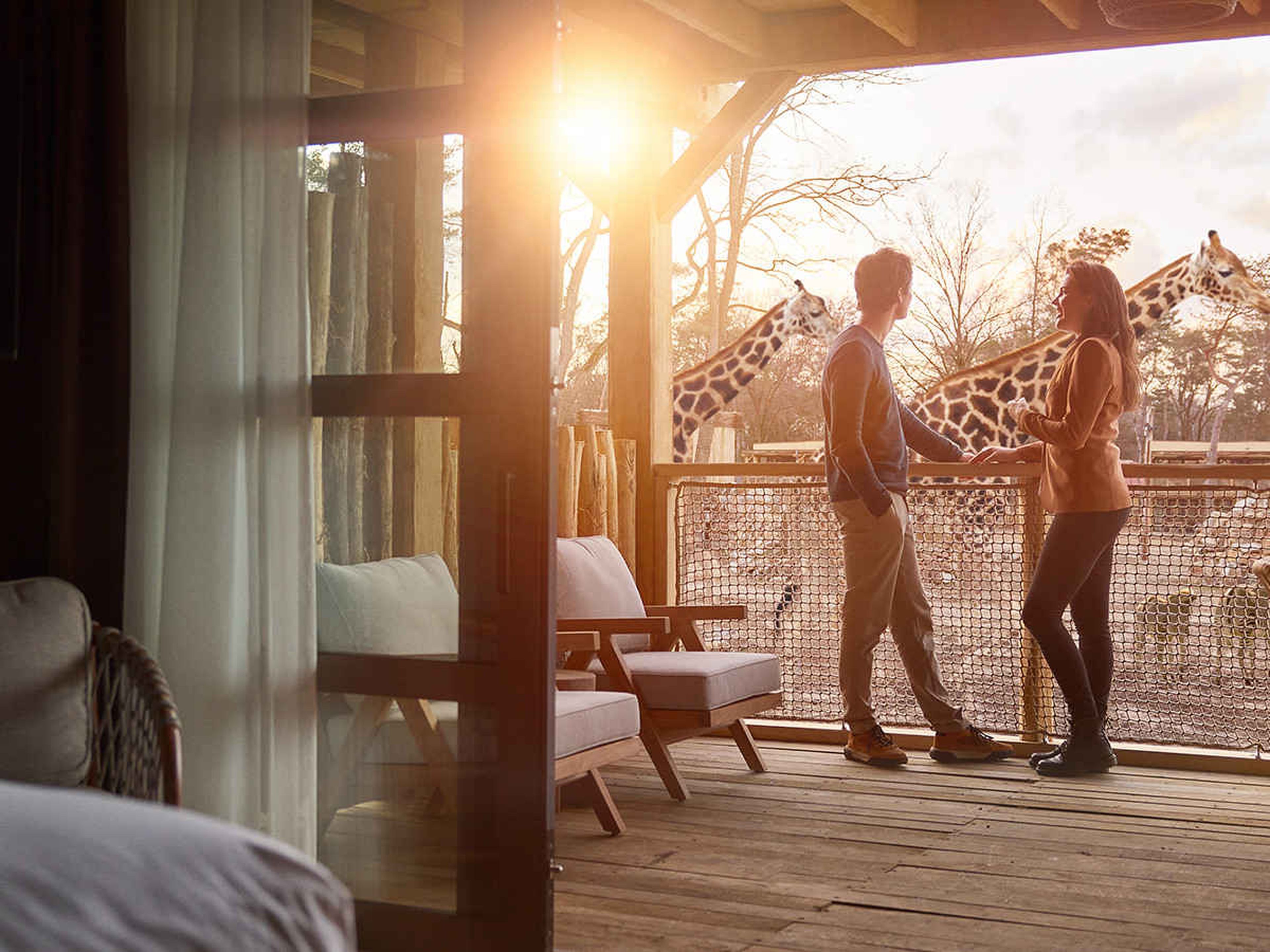 Stel op het terras van een Savanne Room bij Safari Hotel Beekse Bergen