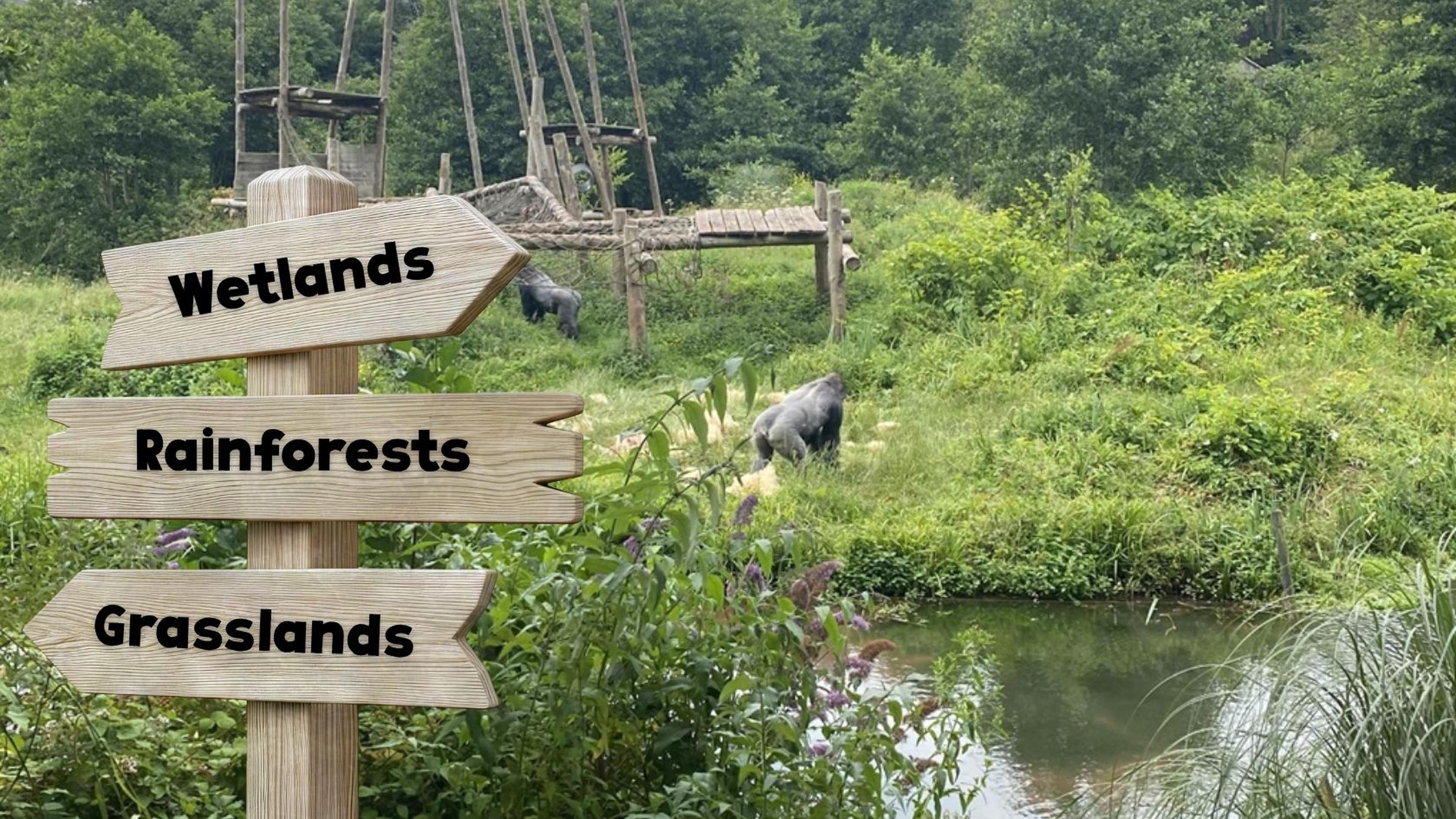 Basic mockup of signs showing new zones and pathways at Paignton Zoo