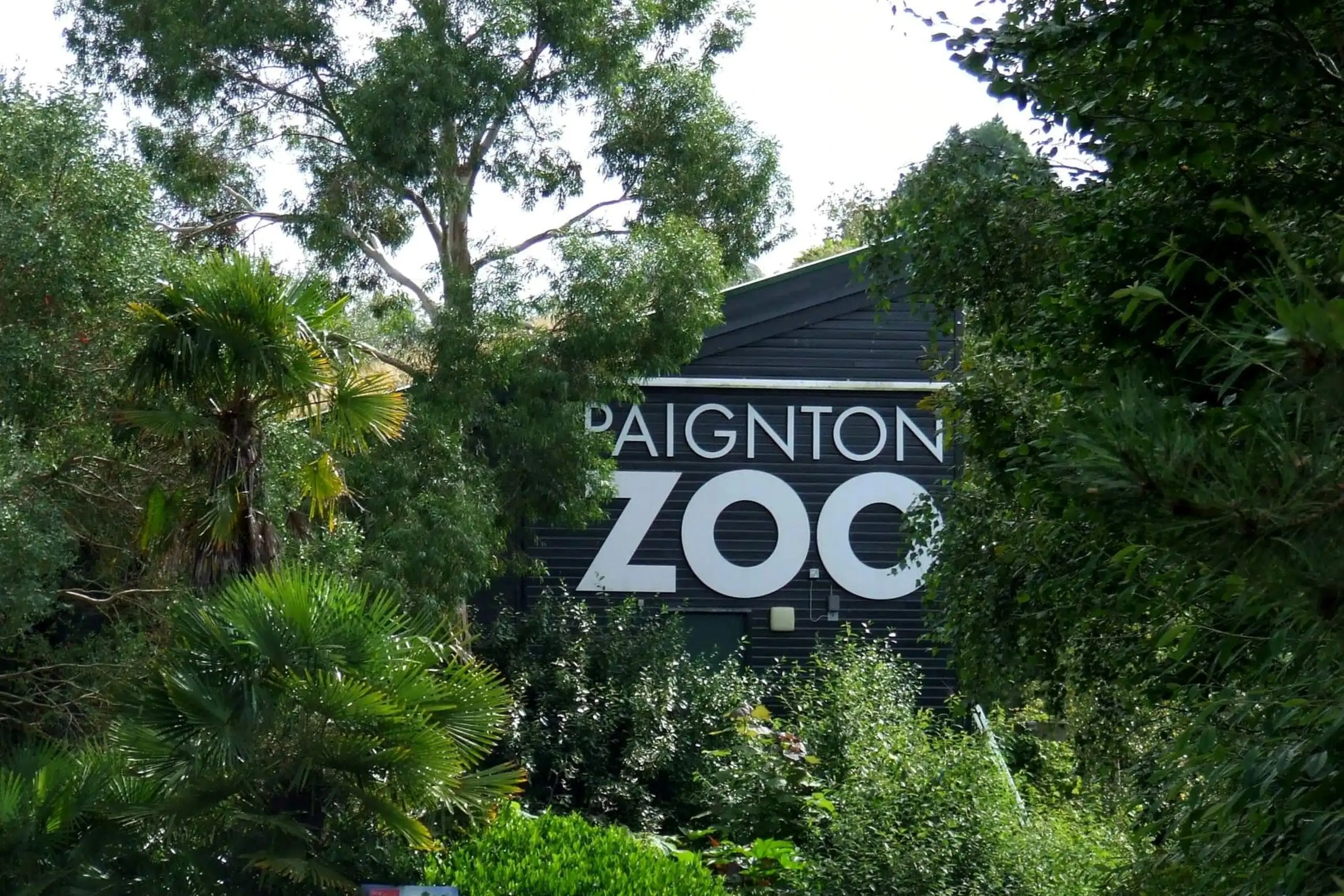 Forest view with lush green trees surrounding a dark building displaying the words "Paignton Zoo."