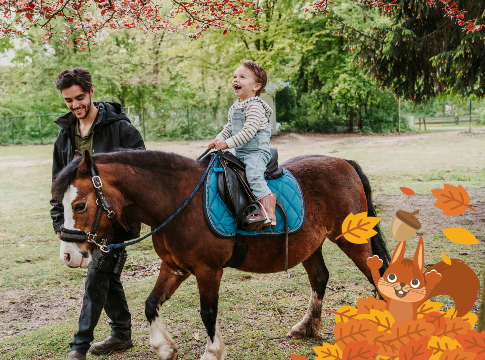 Een jongen rijdt op een pony bij Vakantiepark Dierenbos.
