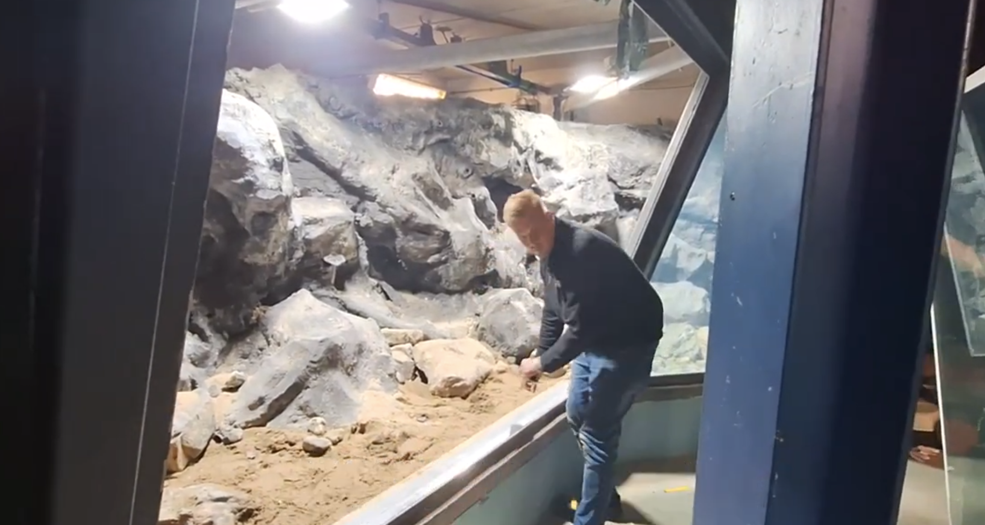 Update Tanganyika aquarium glas plaatsing in AquaZoo Leeuwarden