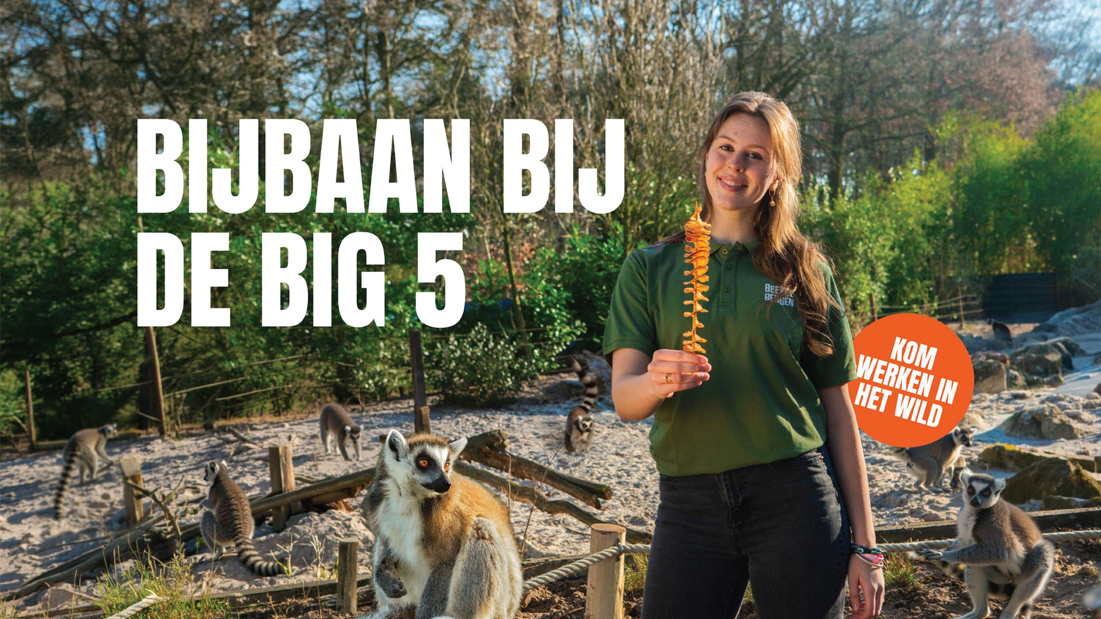 Een medewerker van Beekse Bergen