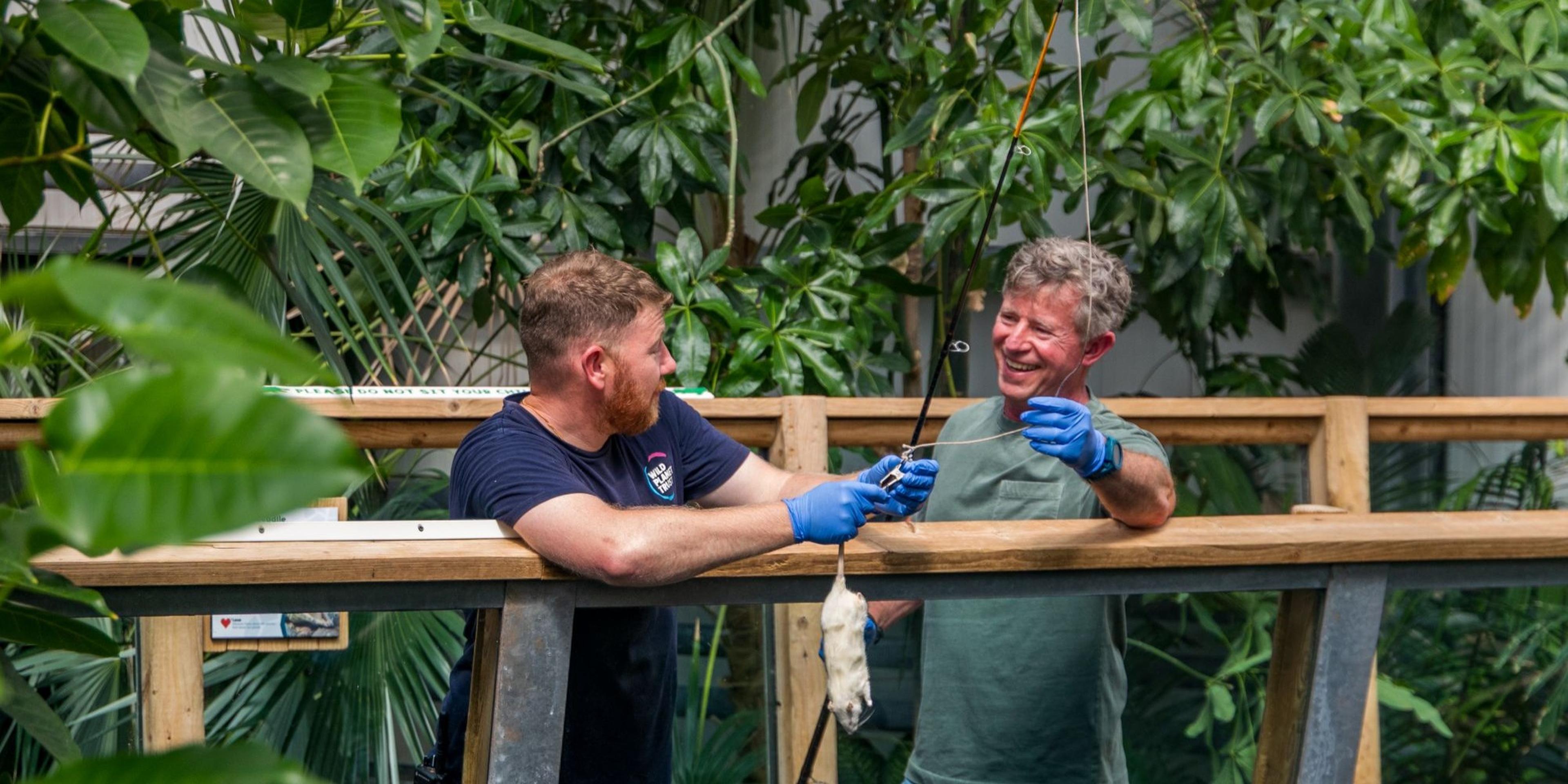 Two men wearing gloves are holding a string with a dangling object, standing in a lush, green indoor space.