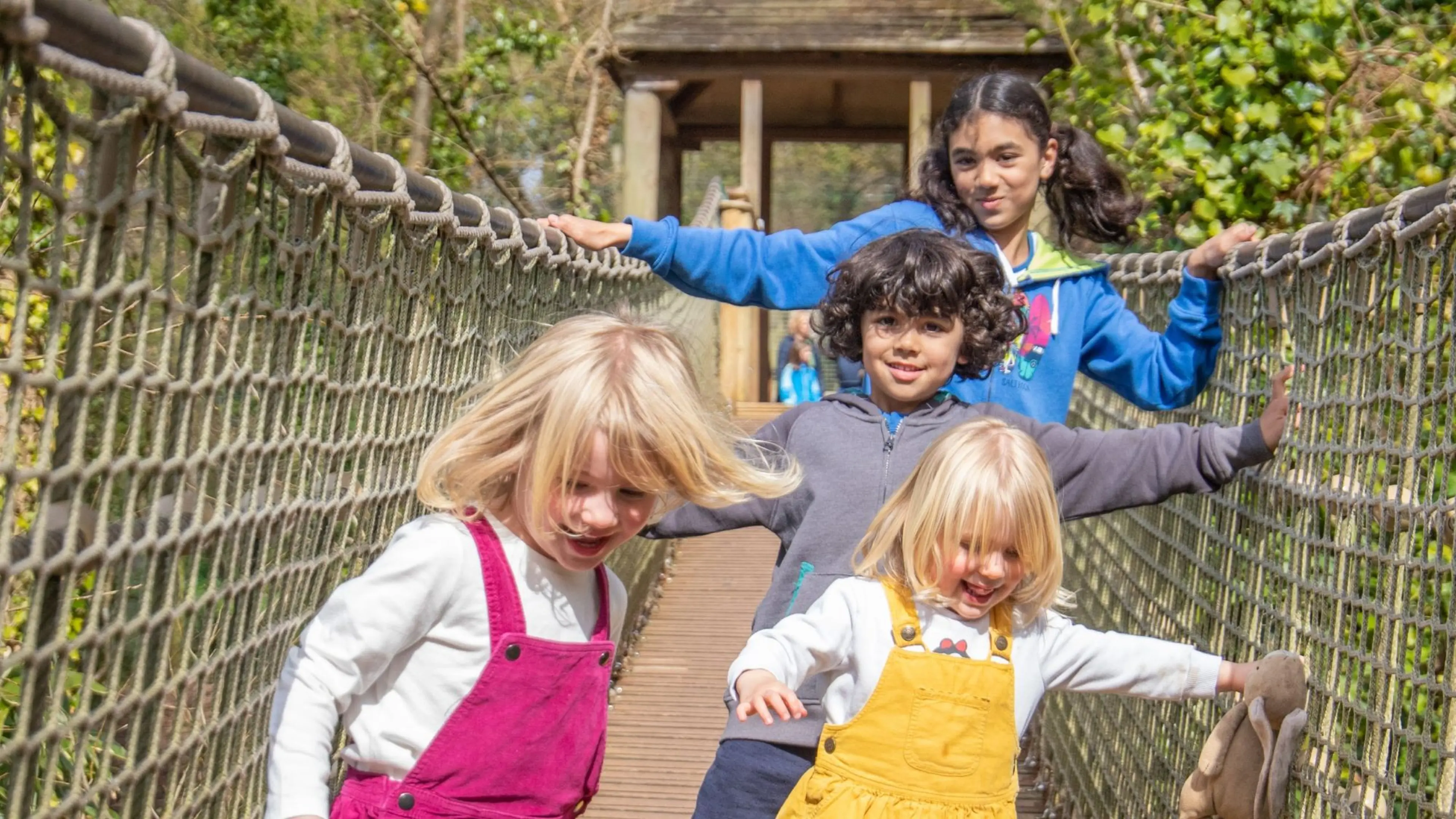 Four children smiling and playing on a rope bridge in a sunny, wooded area. Three are on the bridge; one leans from the side, enjoying the day.