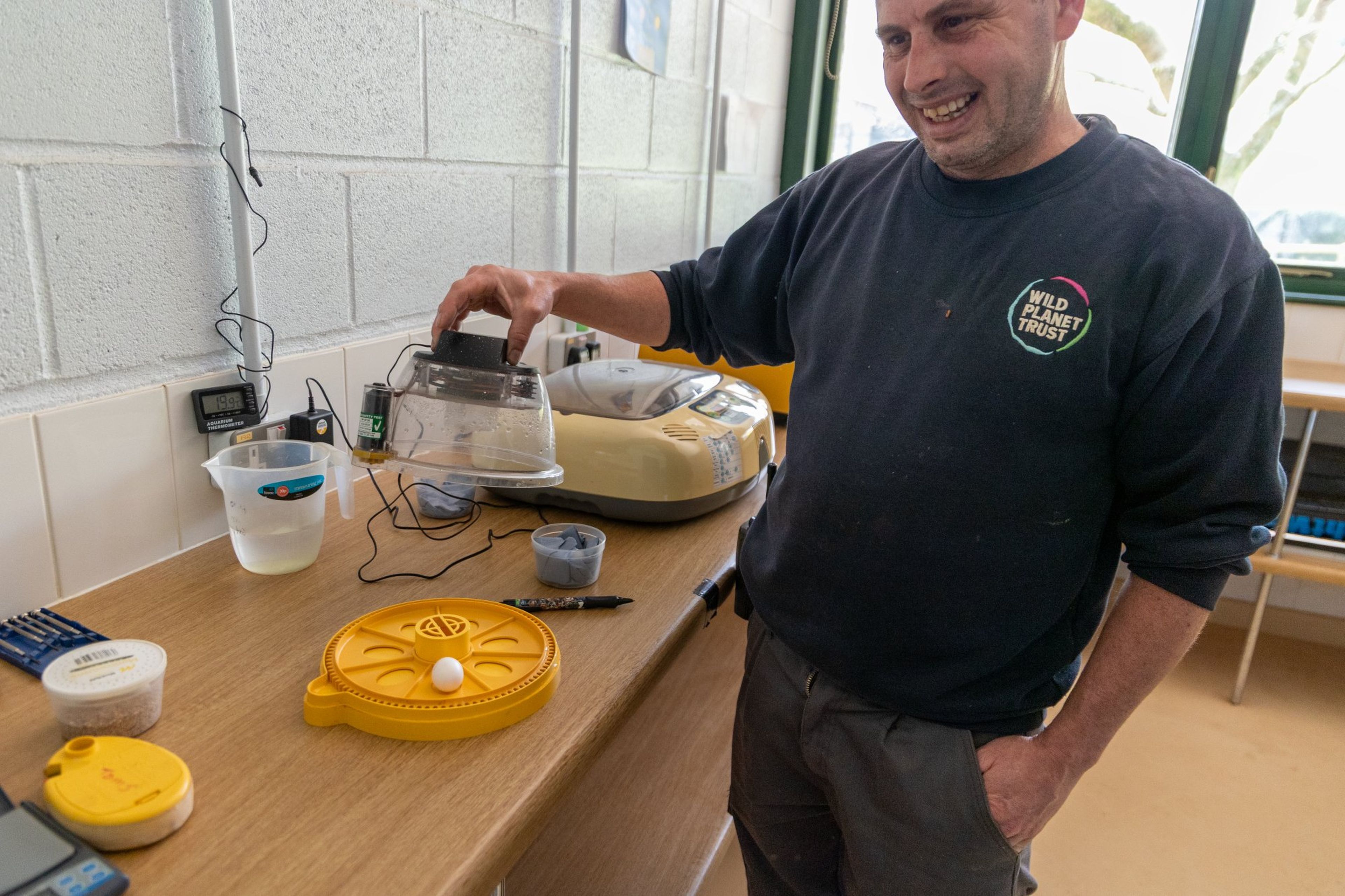 Keeper Tom Tooley smiling while looking at rare pink pigeon egg incubating