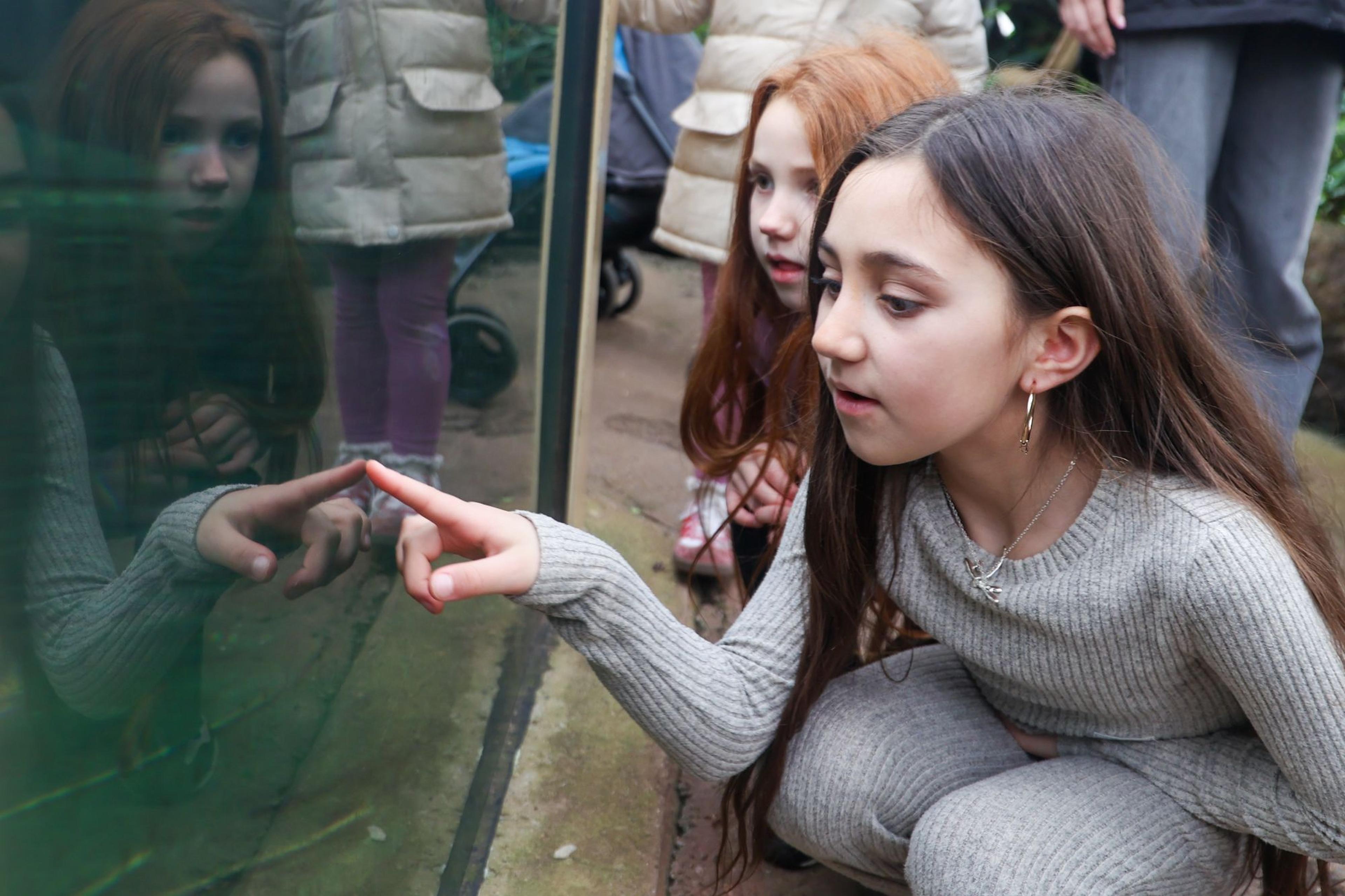 Two young girls kneel, peering intently into a glass display. One points at something inside. Background shows blurred figures in coats.