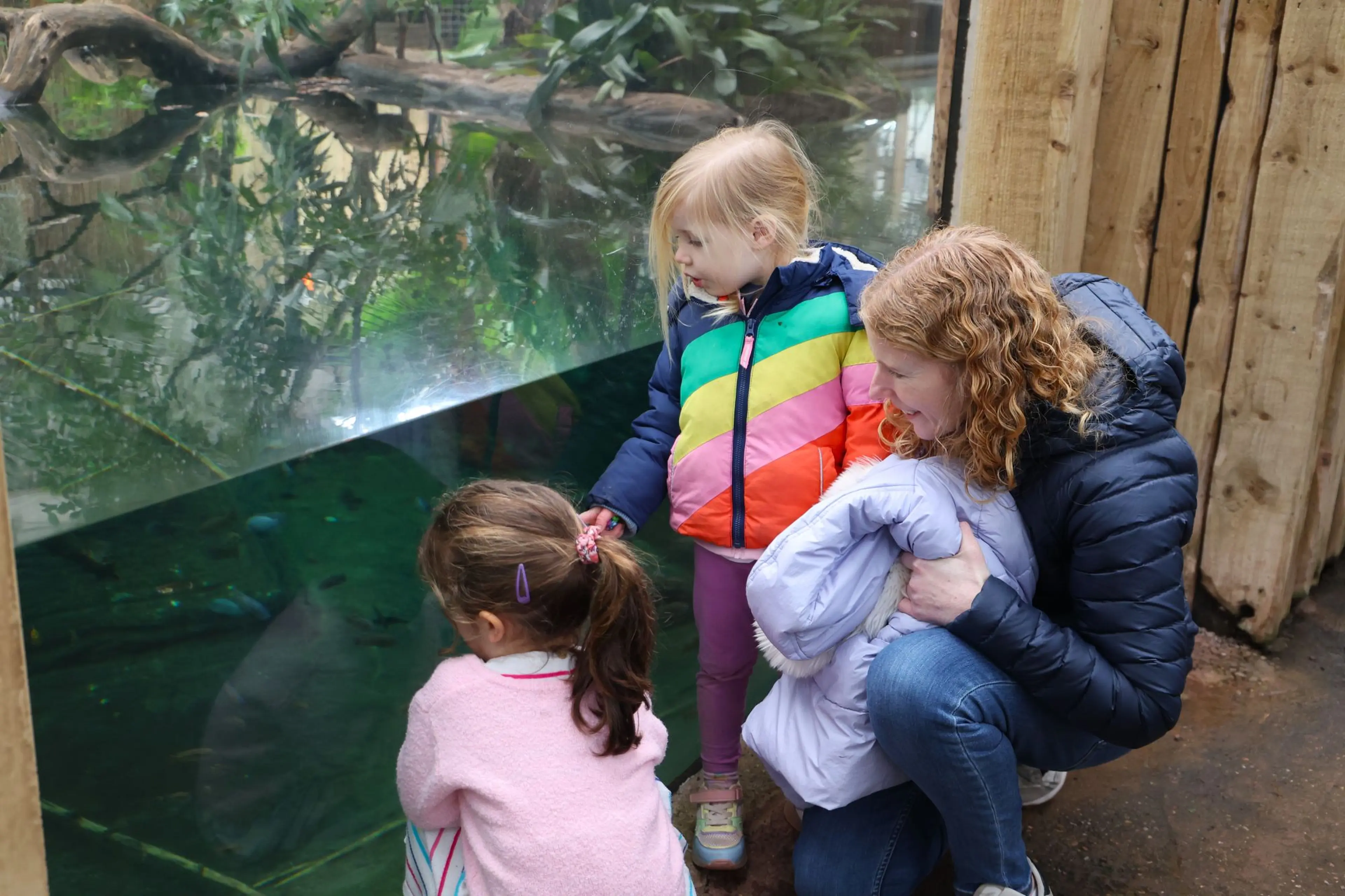 A woman and two children observe fish through a glass aquarium at an indoor exhibit.