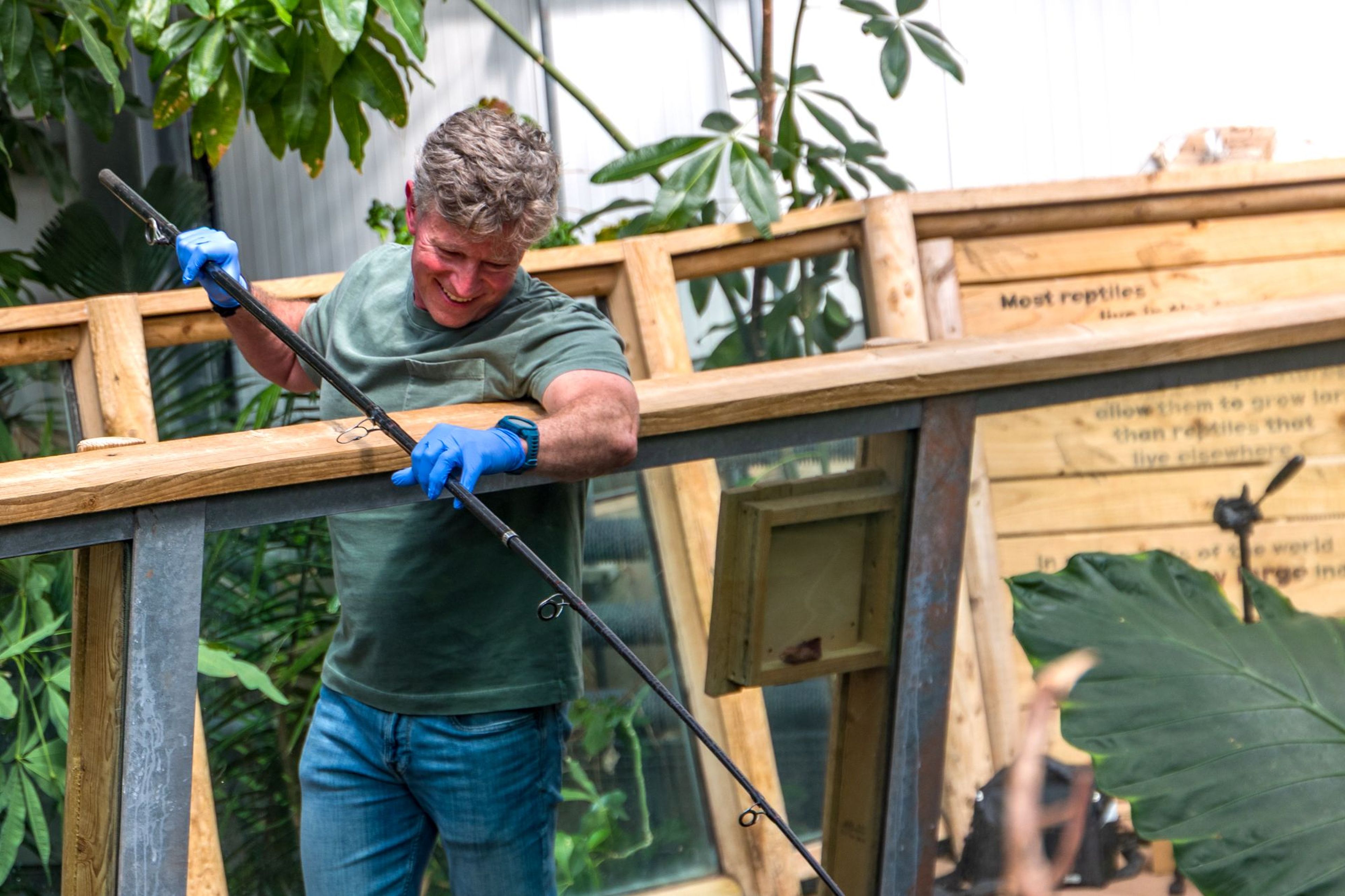 Man with blue gloves, in a green shirt, uses a tool to work on a wooden and glass enclosure. Greenery and leaves are in the background.