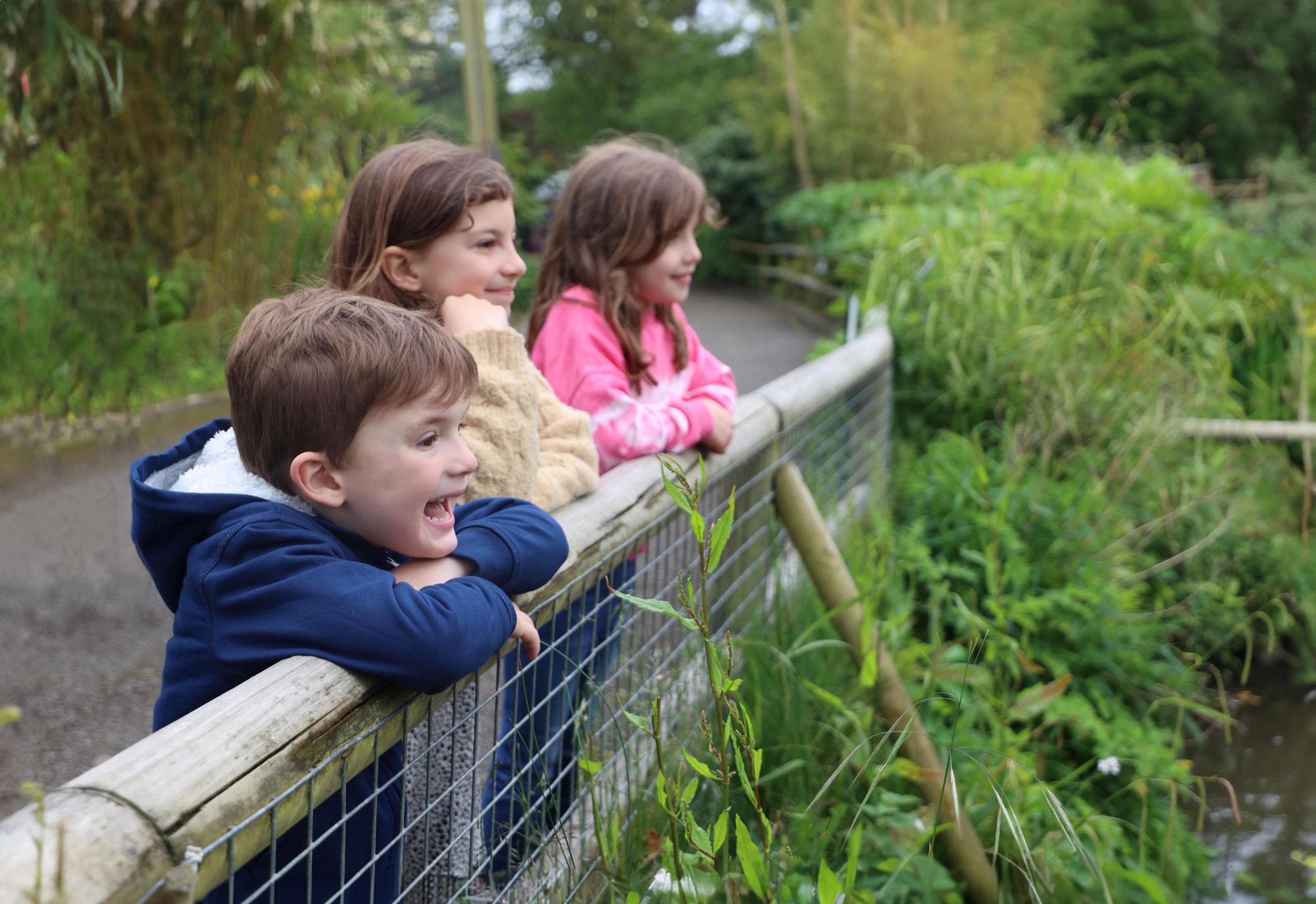 Three children leaning on a wooden fence, smiling while looking at greenery and water in a park setting.