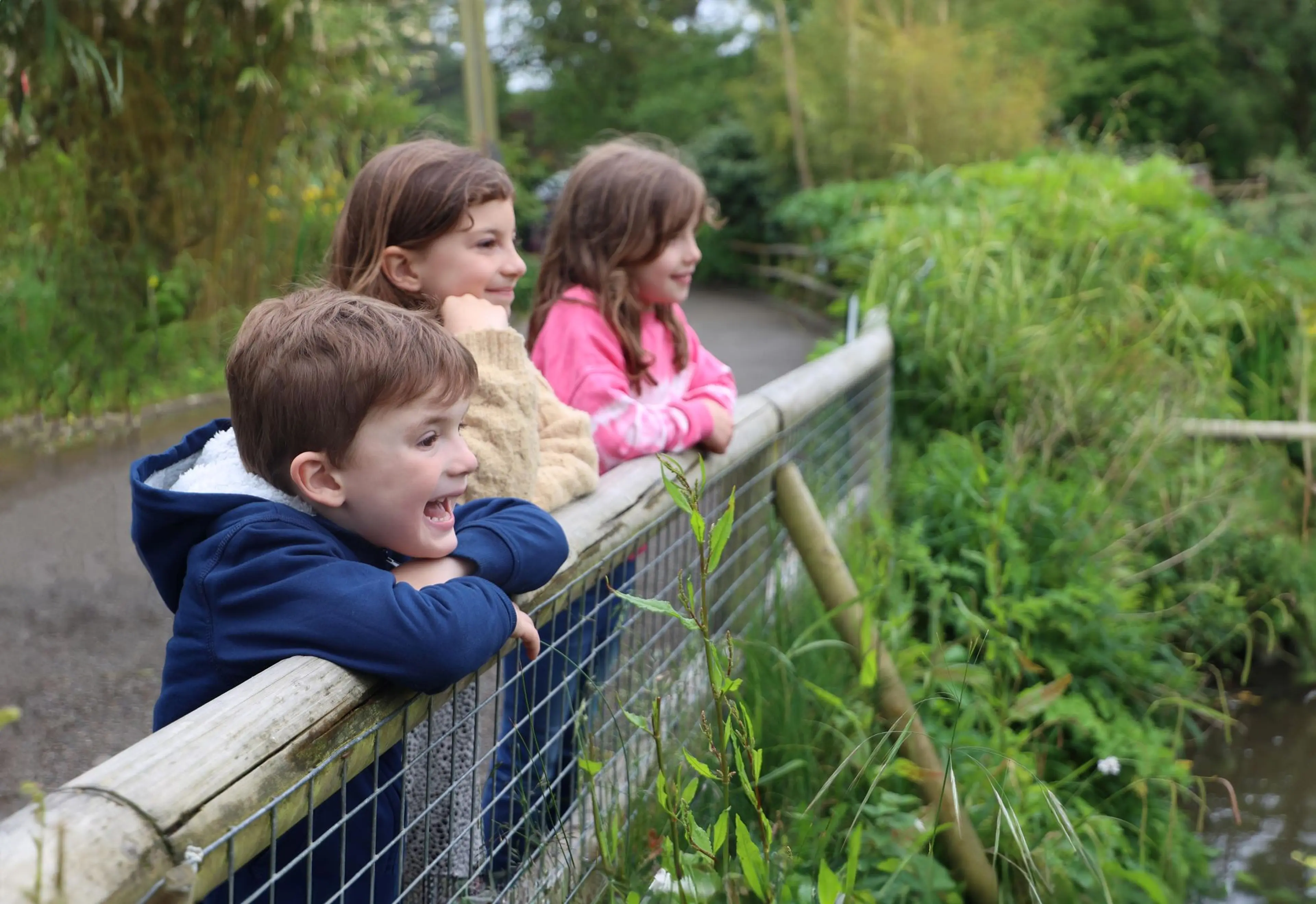 Three children leaning on a wooden fence, smiling while looking at greenery and water in a park setting.