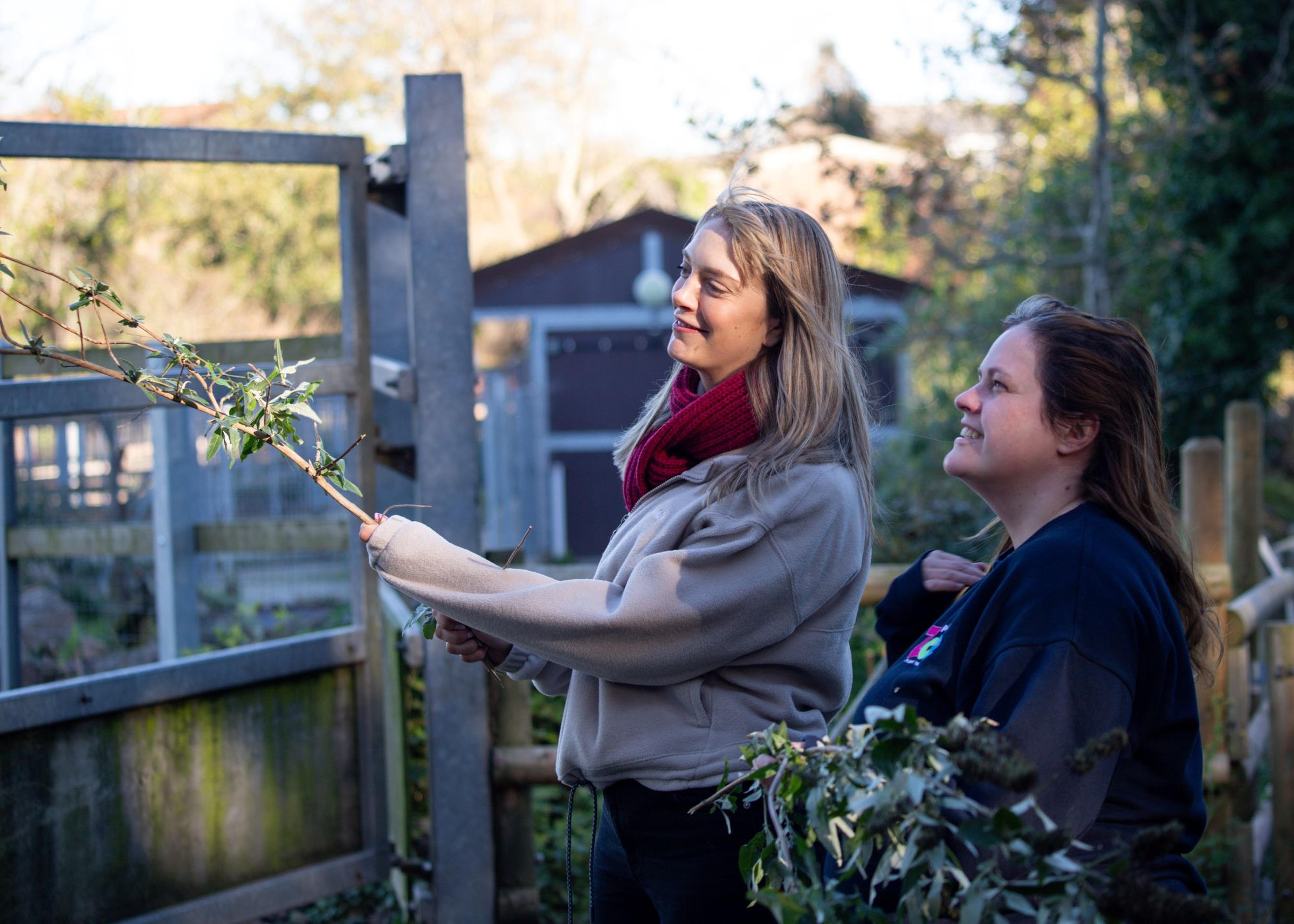 Two people outdoors, one holding a branch. They are smiling and standing near a fence with greenery in the background.