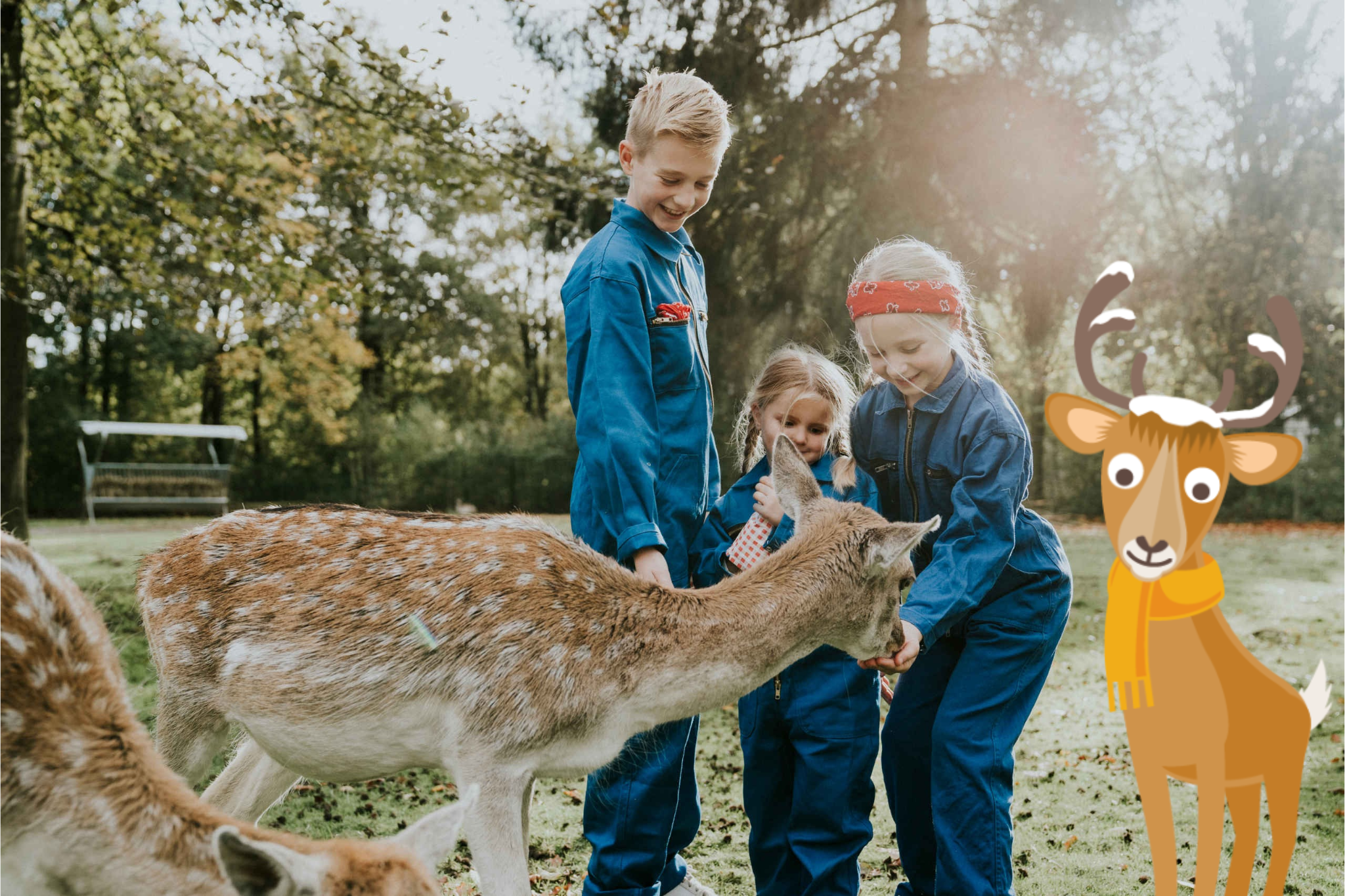 Drie kinderen voeren een hert bij Vakantiepark Dierenbos.