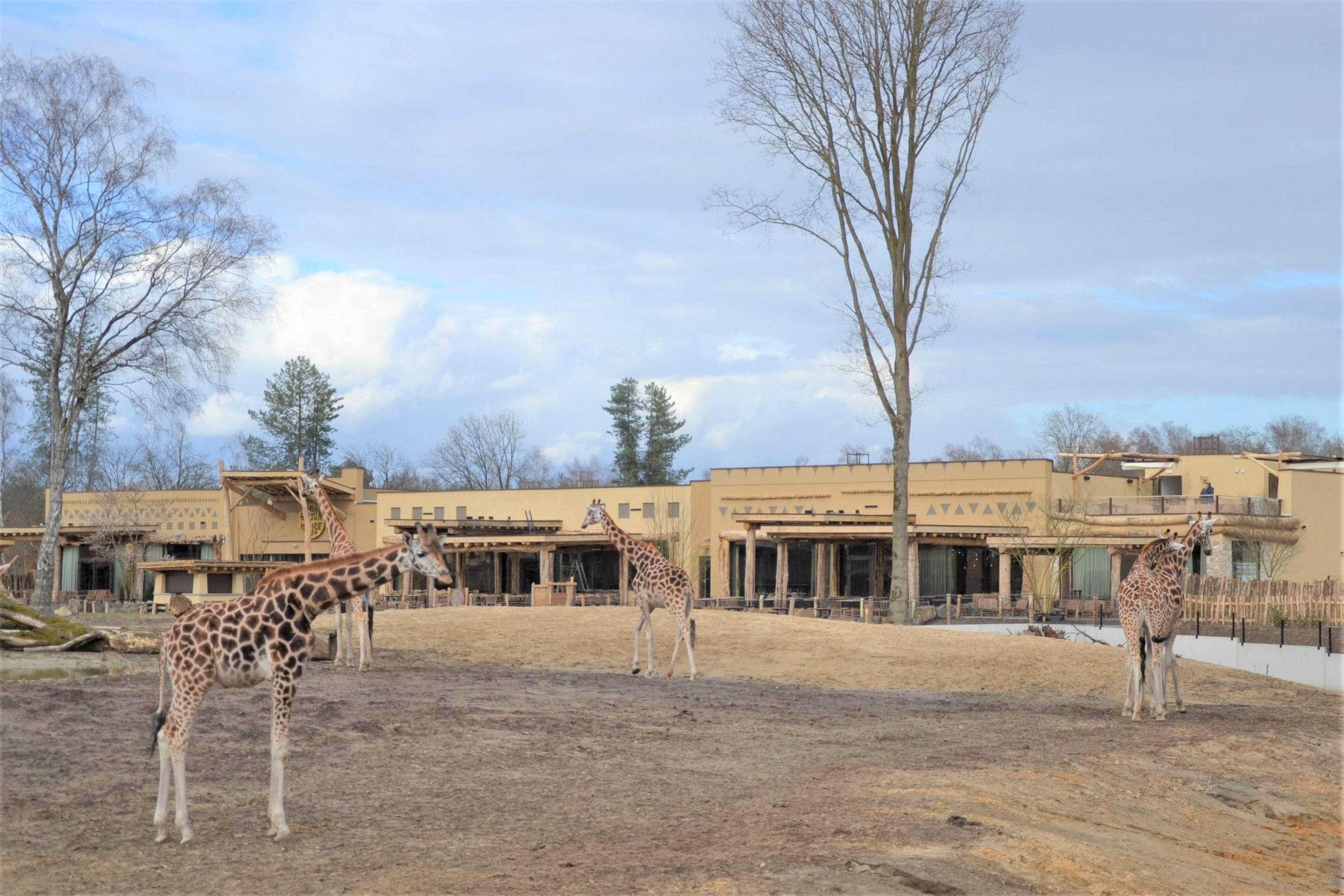 Terras van Hogon House tijdens de opening van Safari Hotel Beekse Bergen