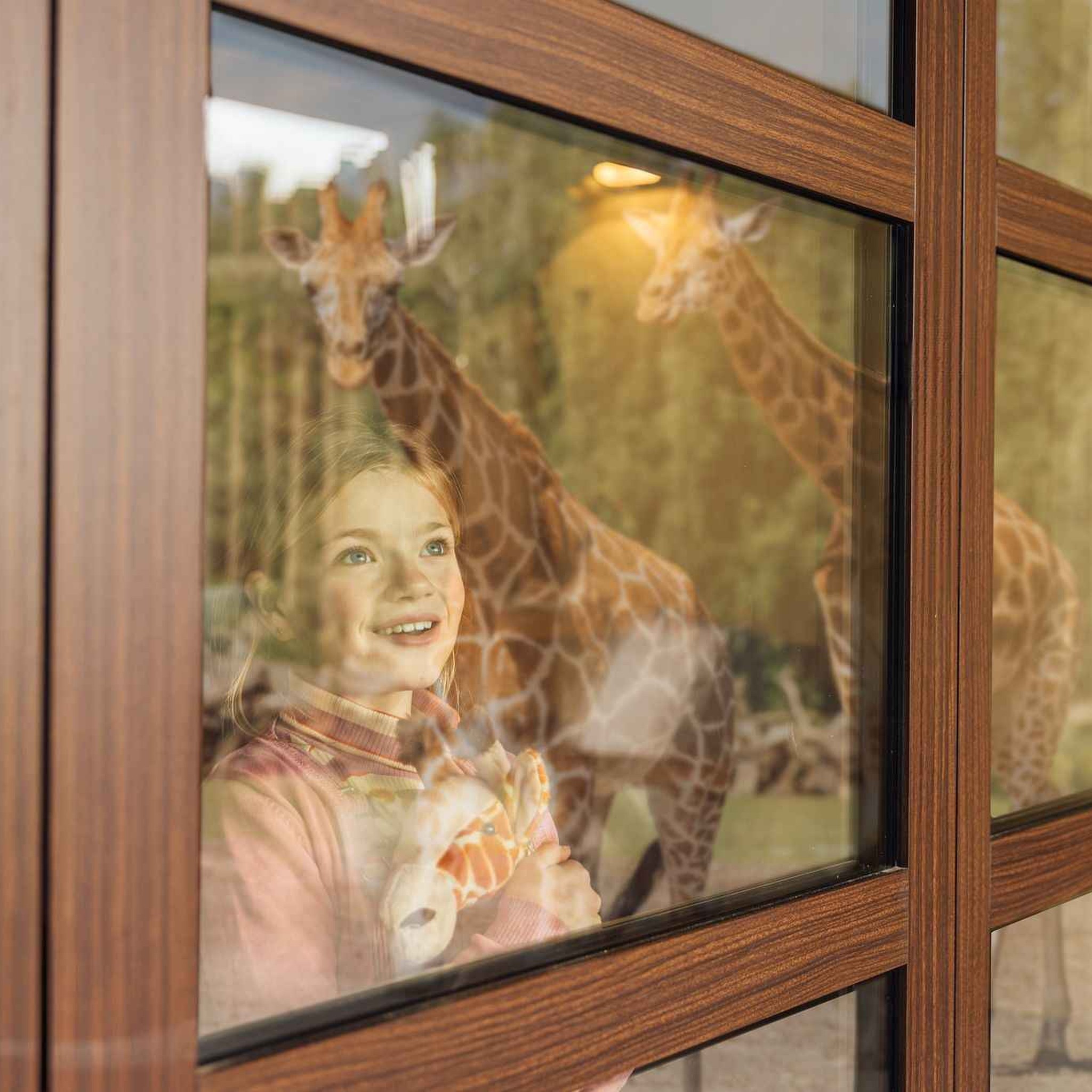 Meisje kijkt vanuit het raam van Safari Hotel Beekse Bergen naar de giraffen