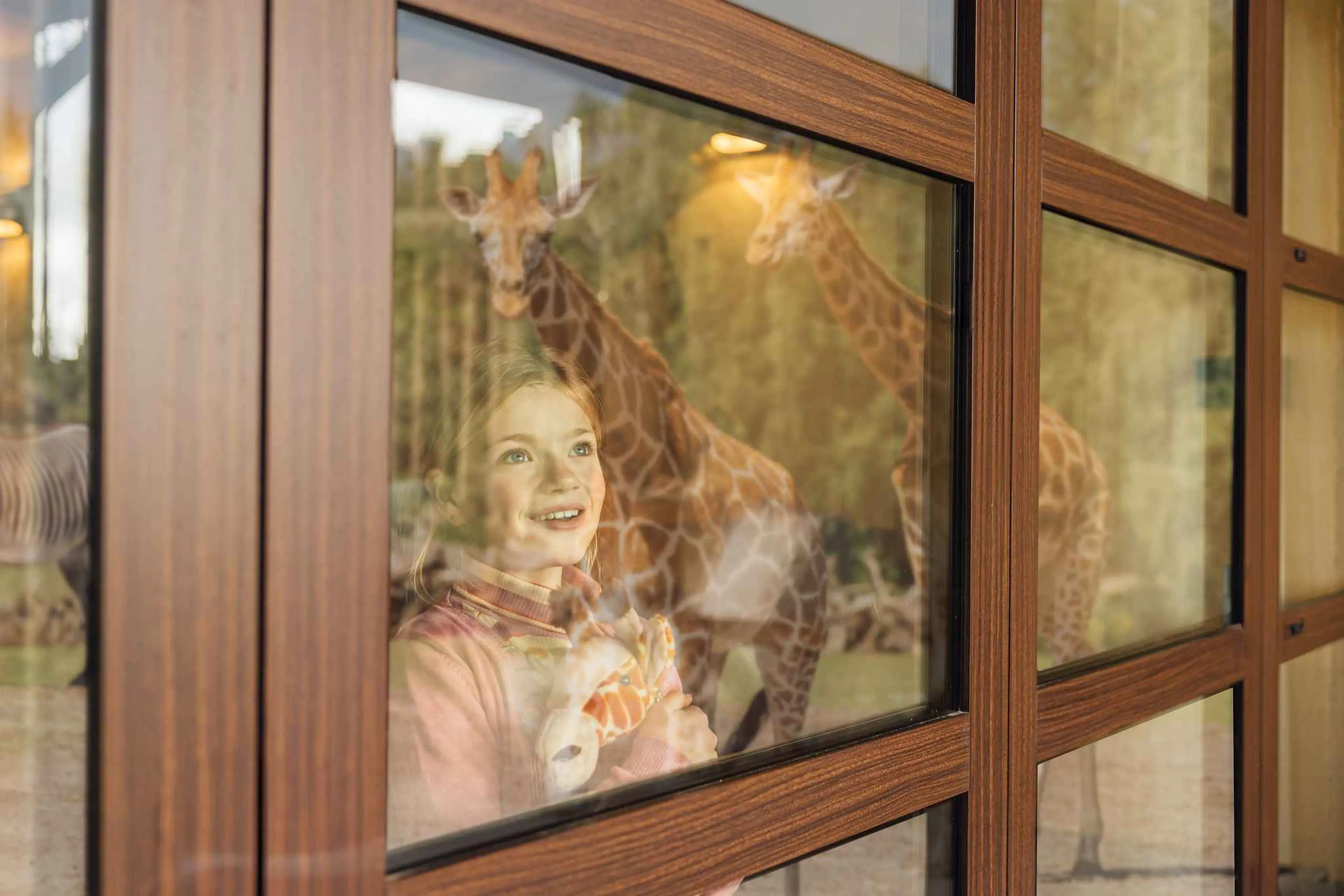 Meisje kijkt vanuit het raam van Safari Hotel Beekse Bergen naar de giraffen