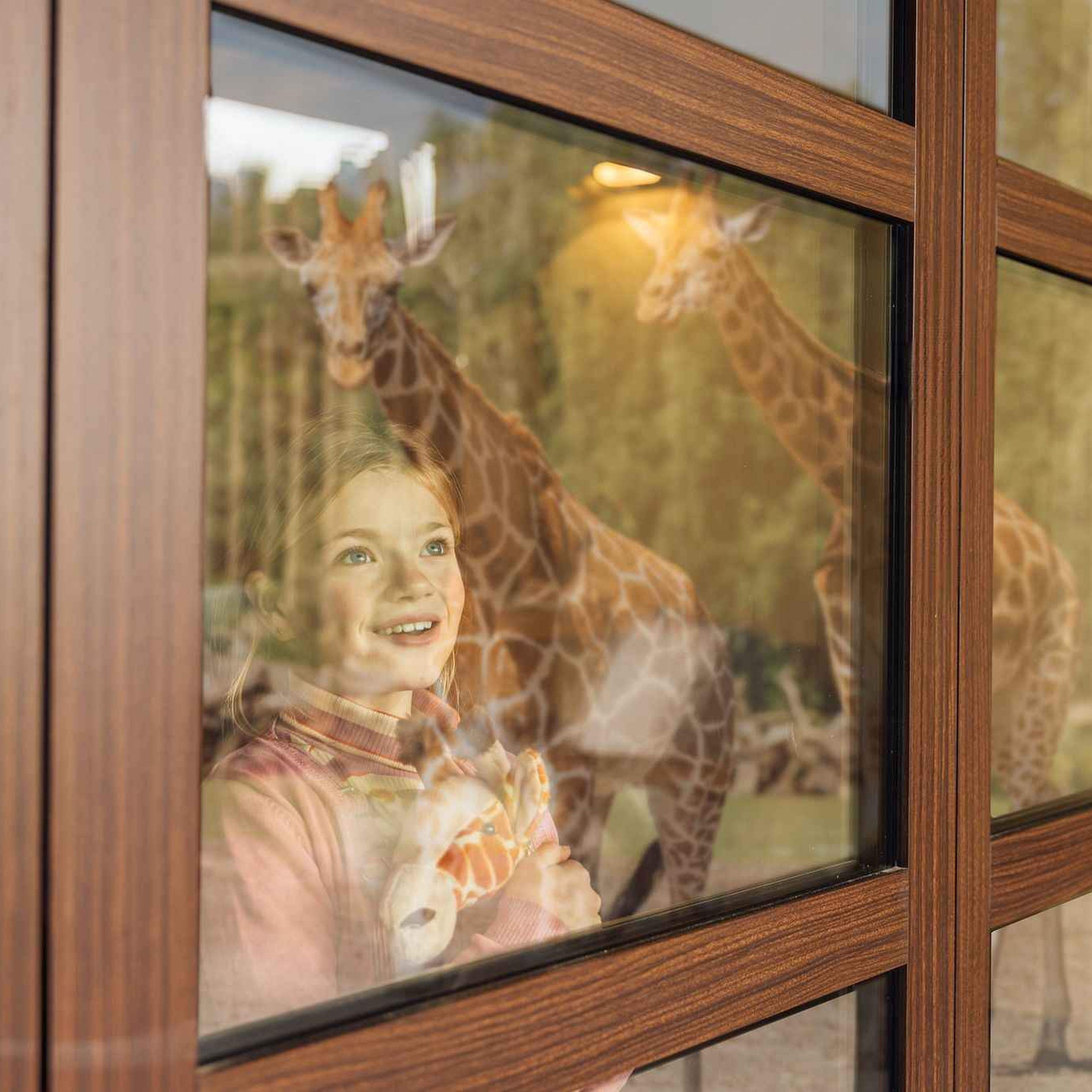 Meisje kijkt vanuit het raam van Safari Hotel Beekse Bergen naar de giraffen